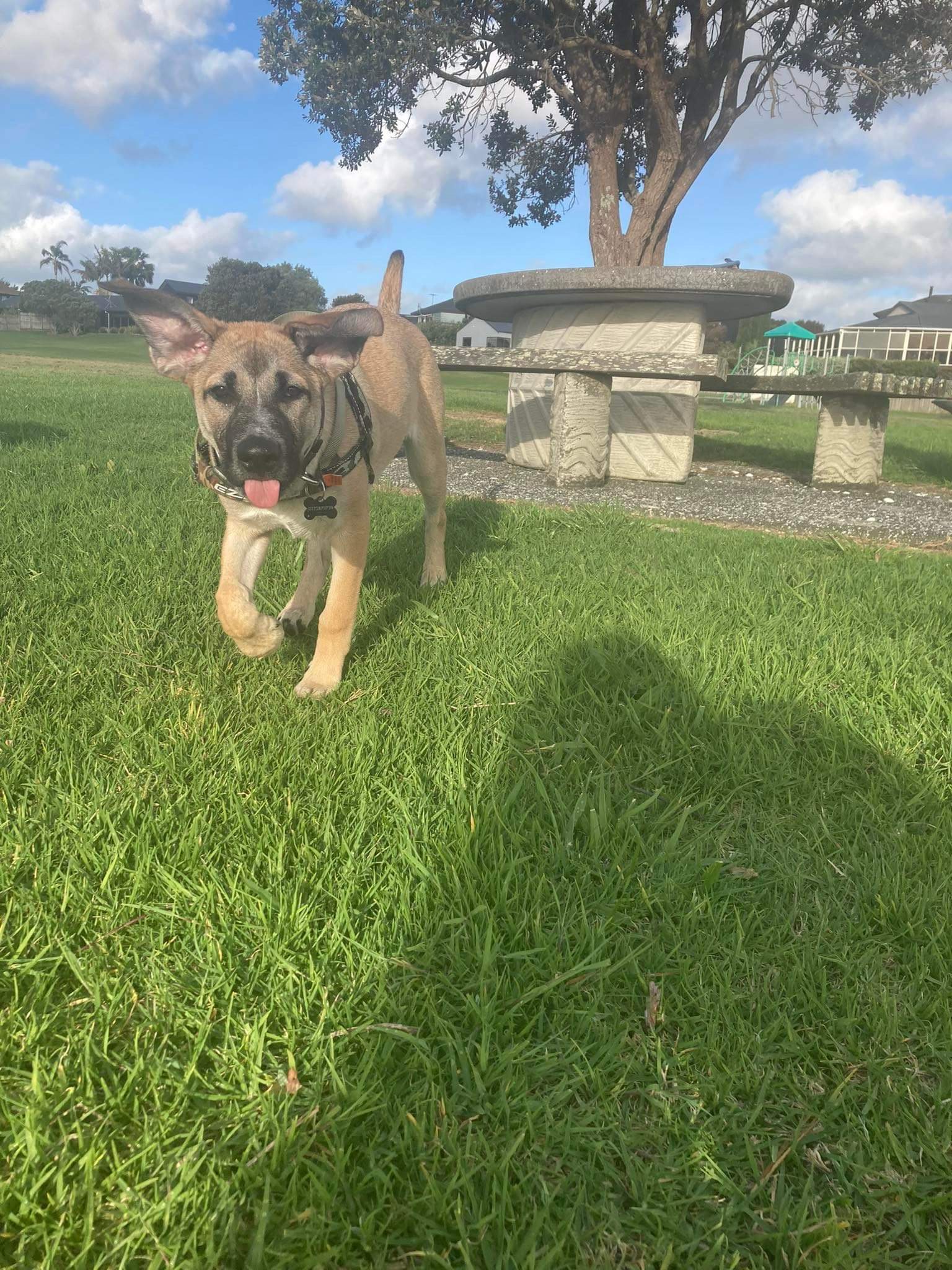 image-10