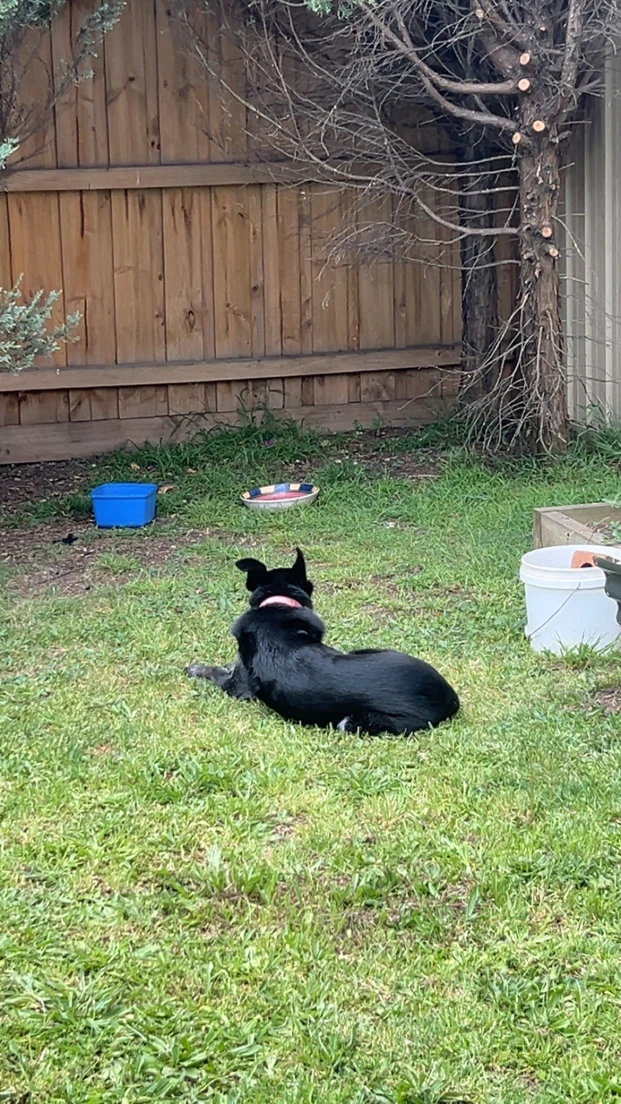 image-15