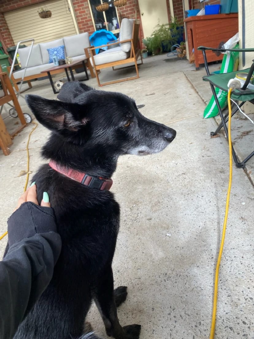 image-18