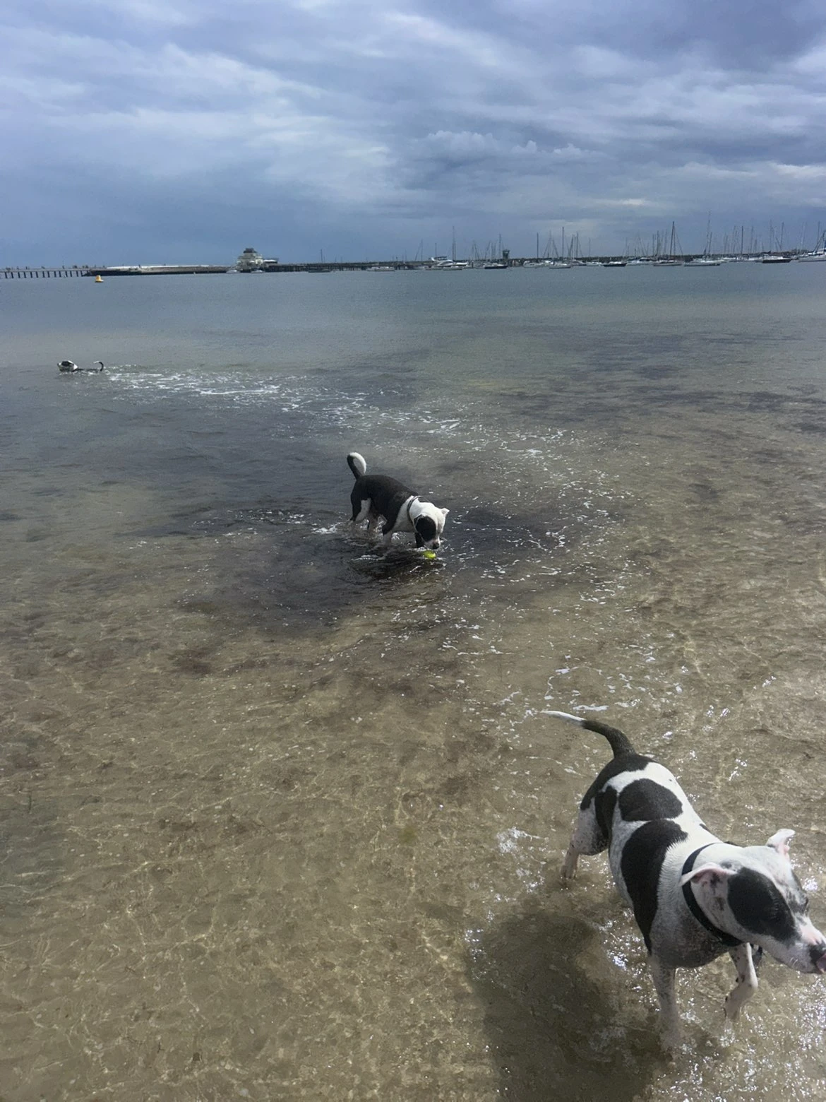 image-12