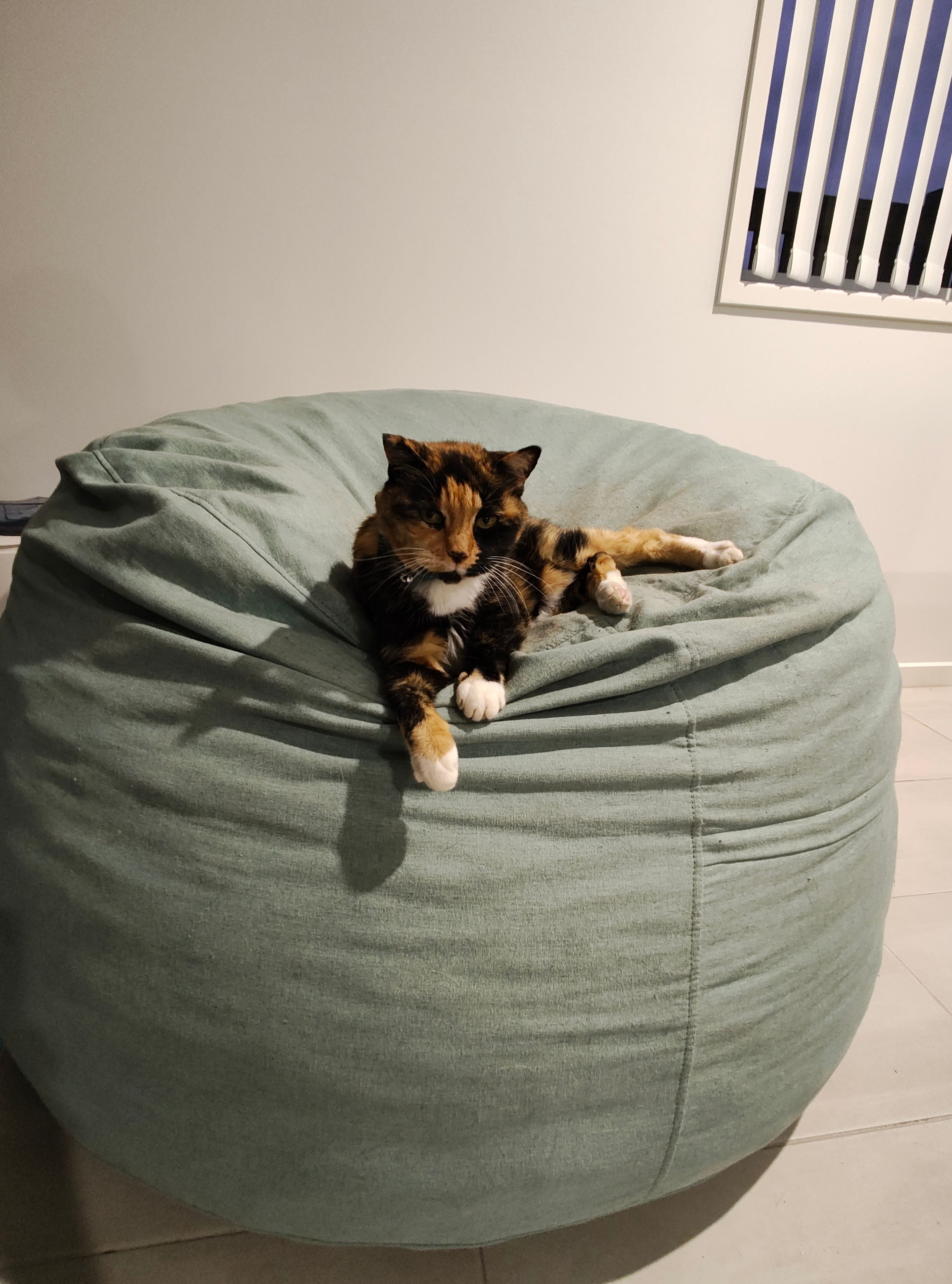 image-10
