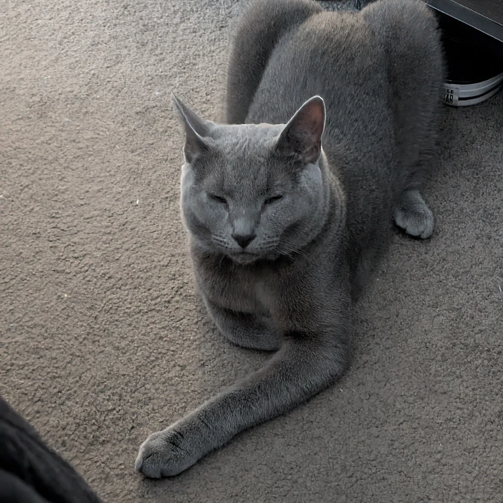 Loki