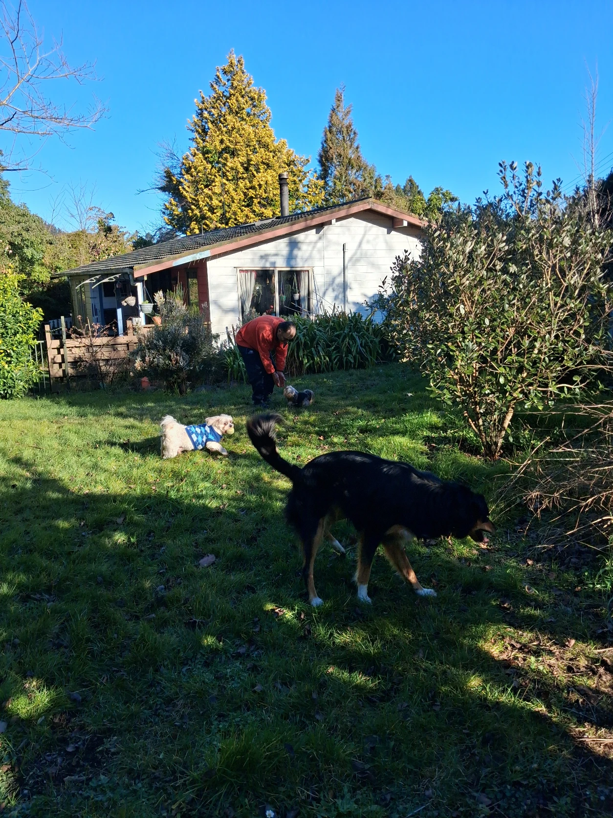 image-34