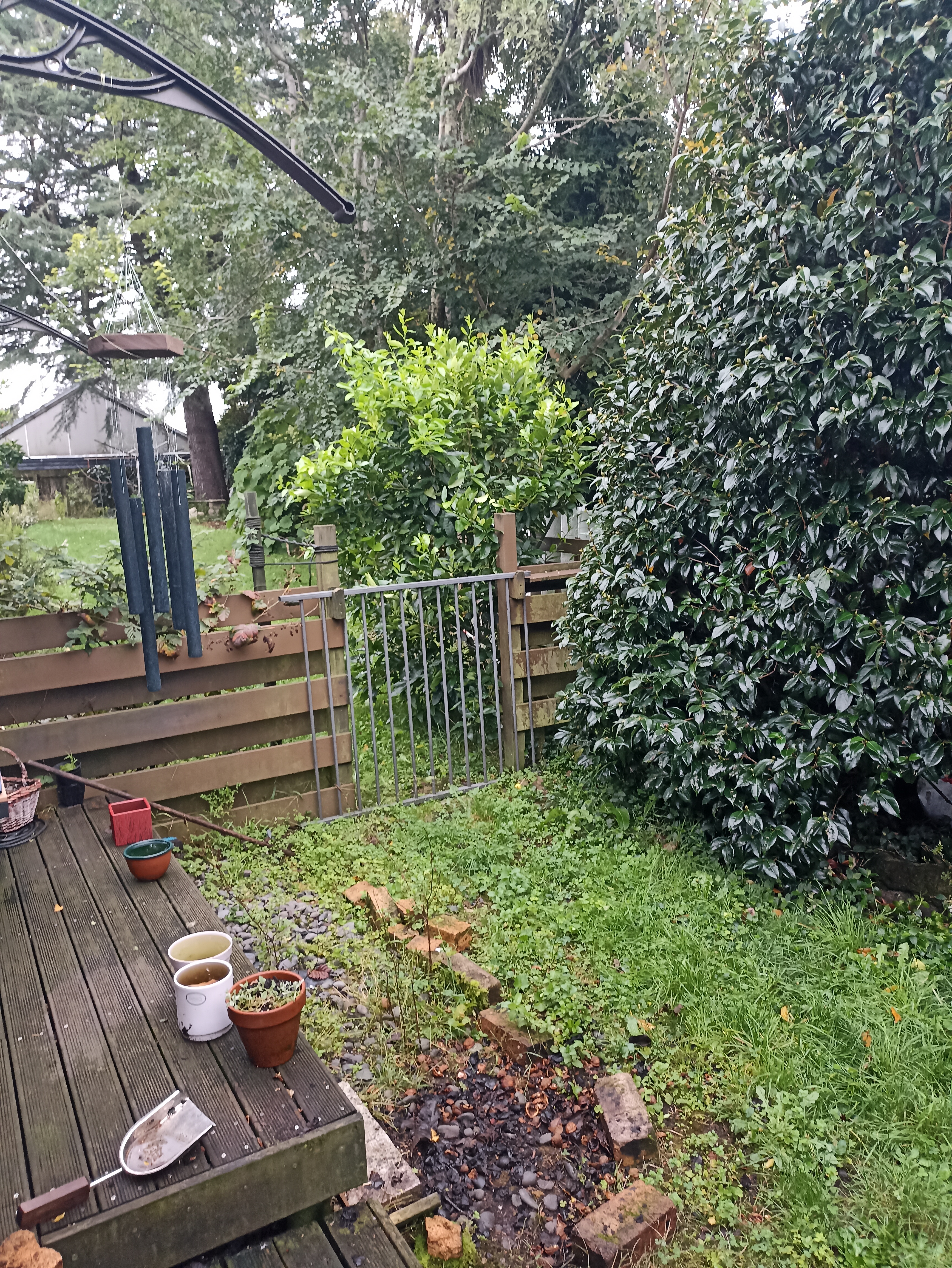 image-18