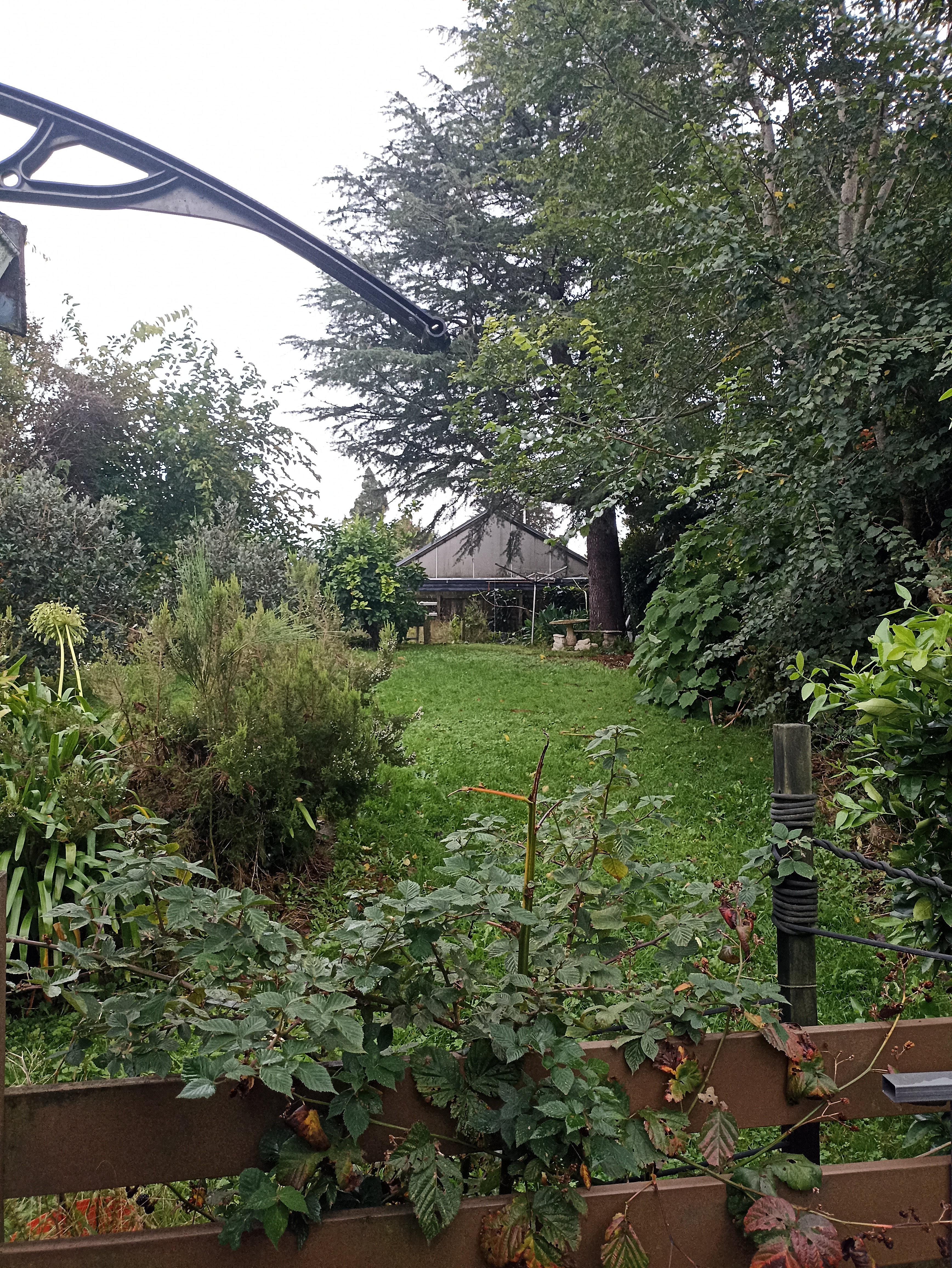 image-15