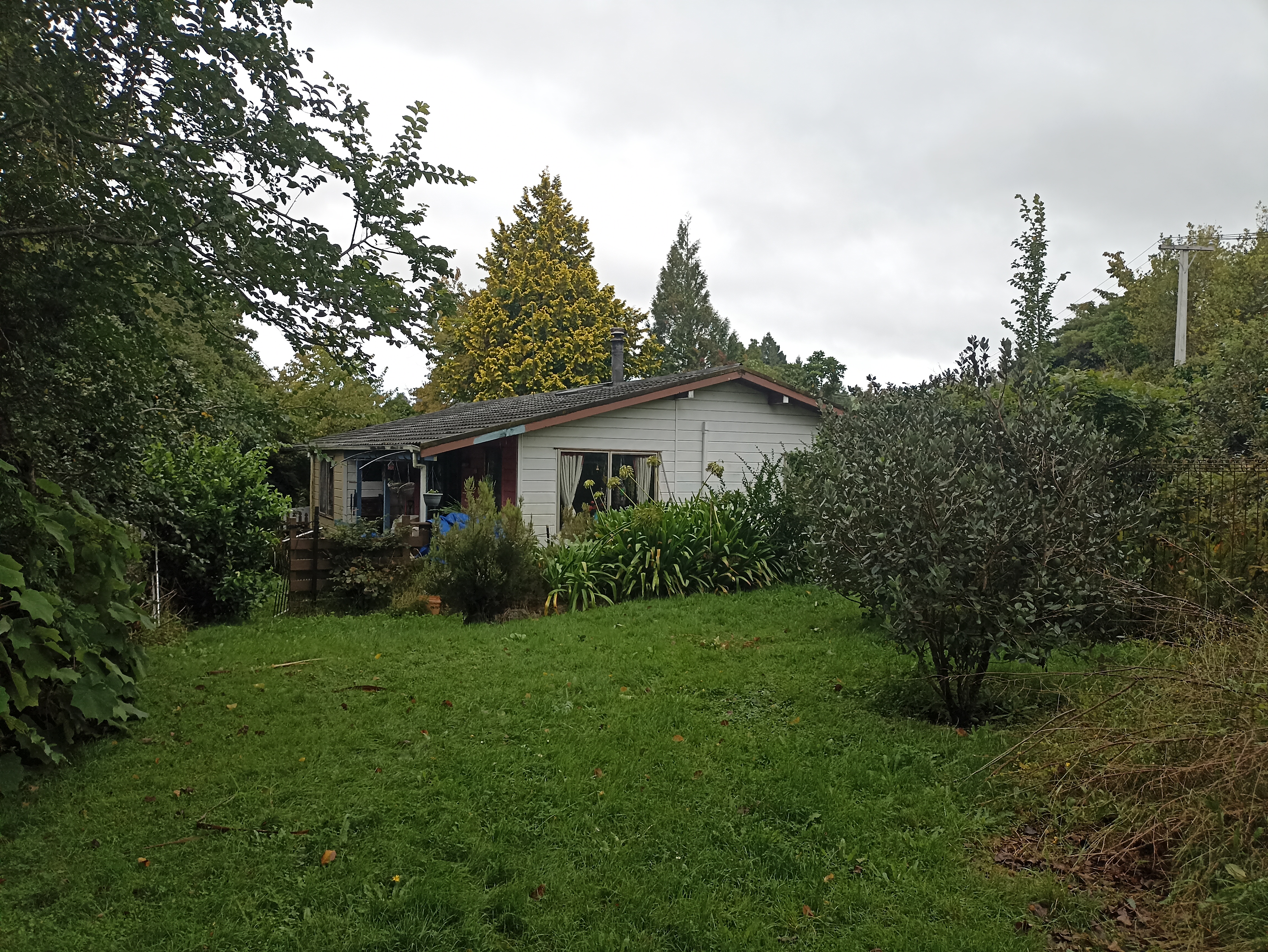 image-14