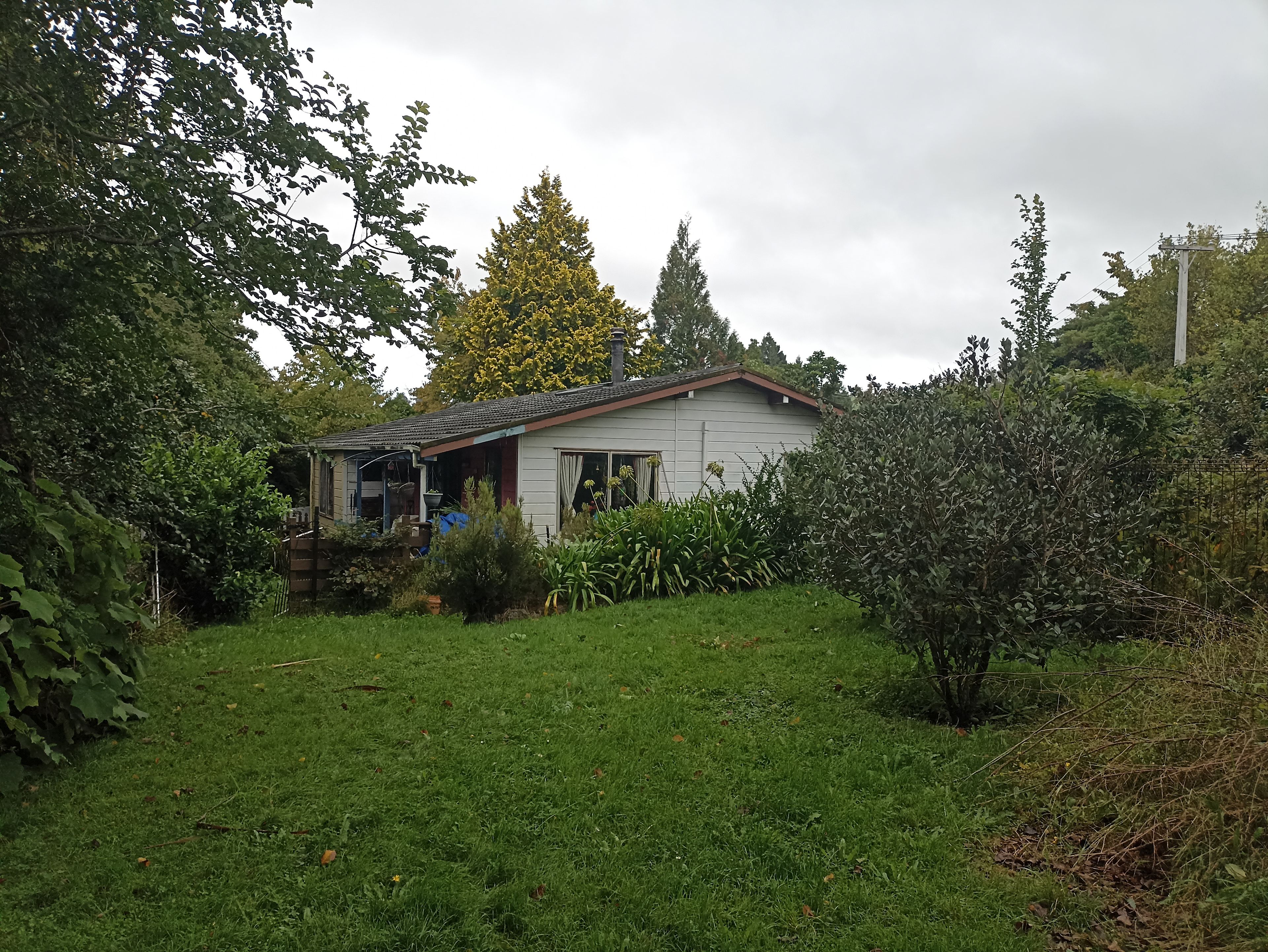 image-14