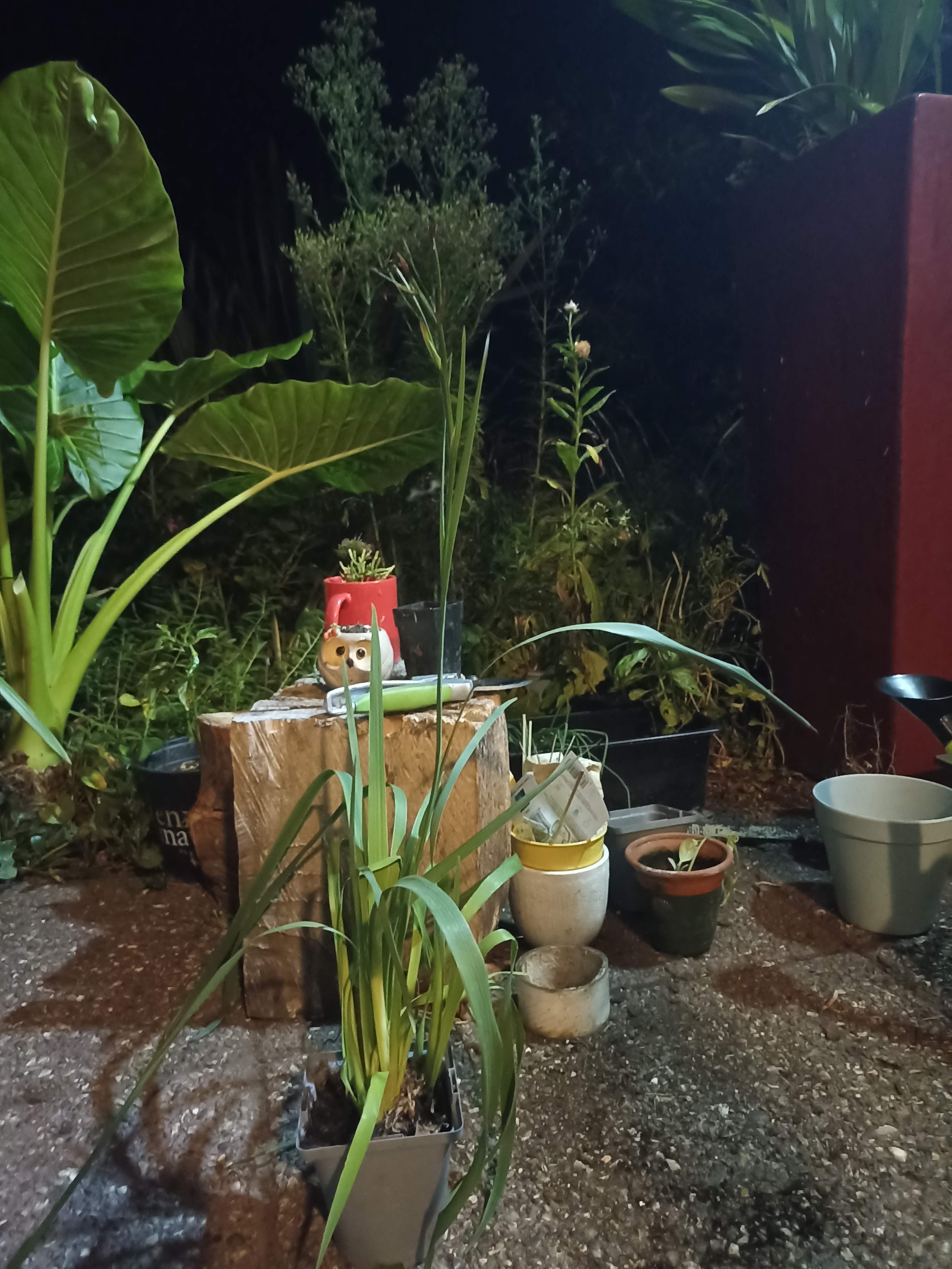 image-29