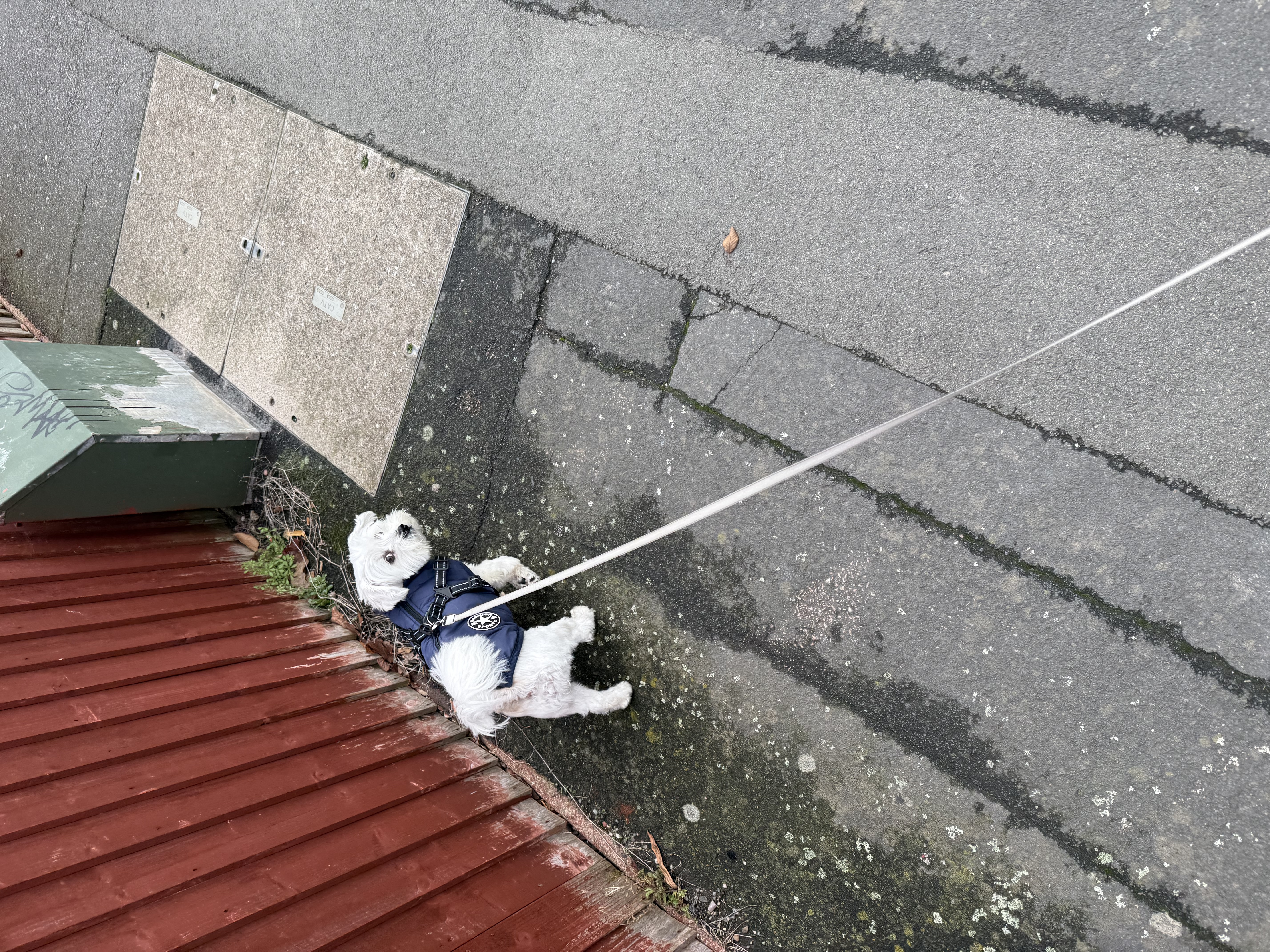 image-5