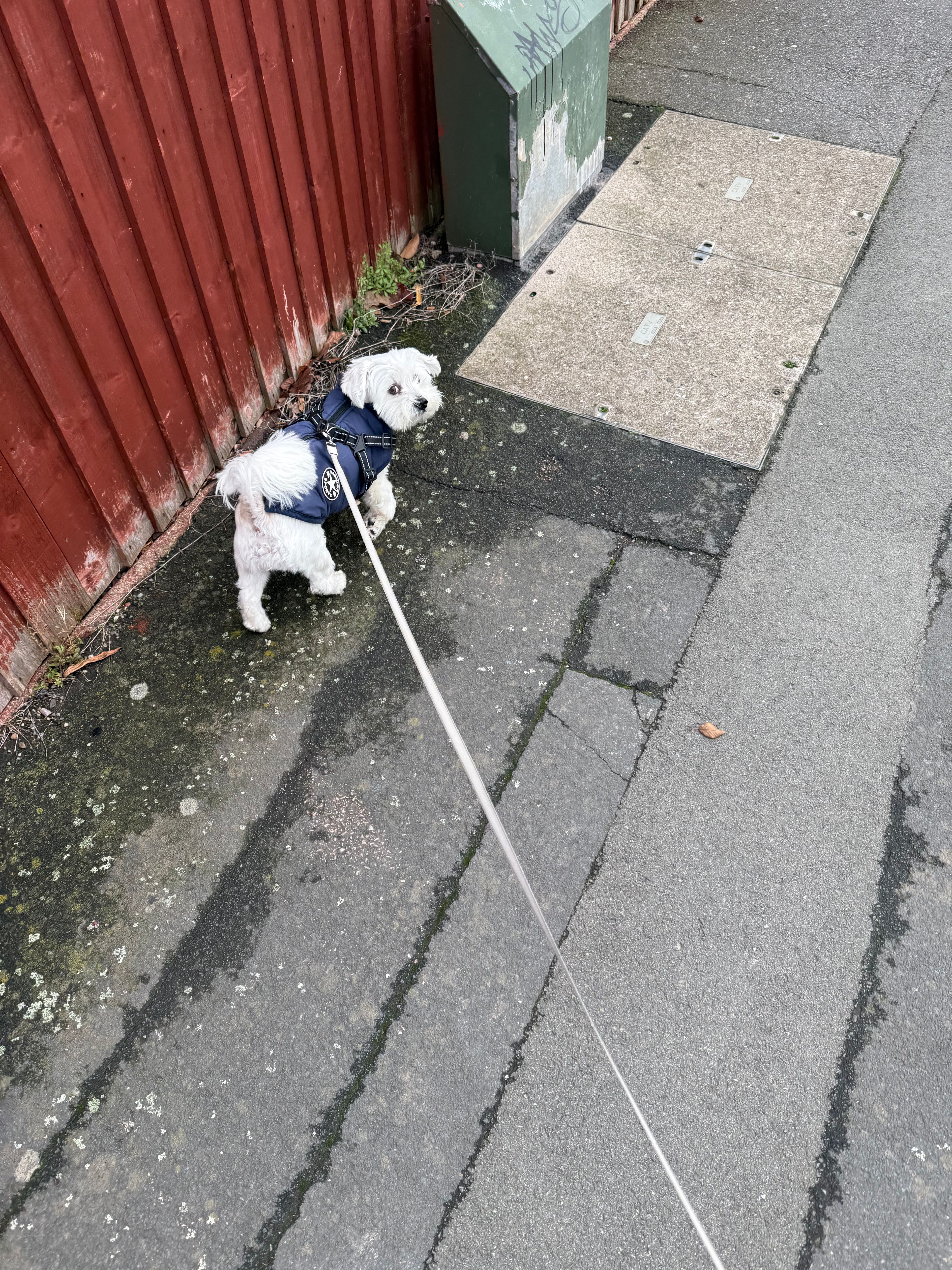 image-5