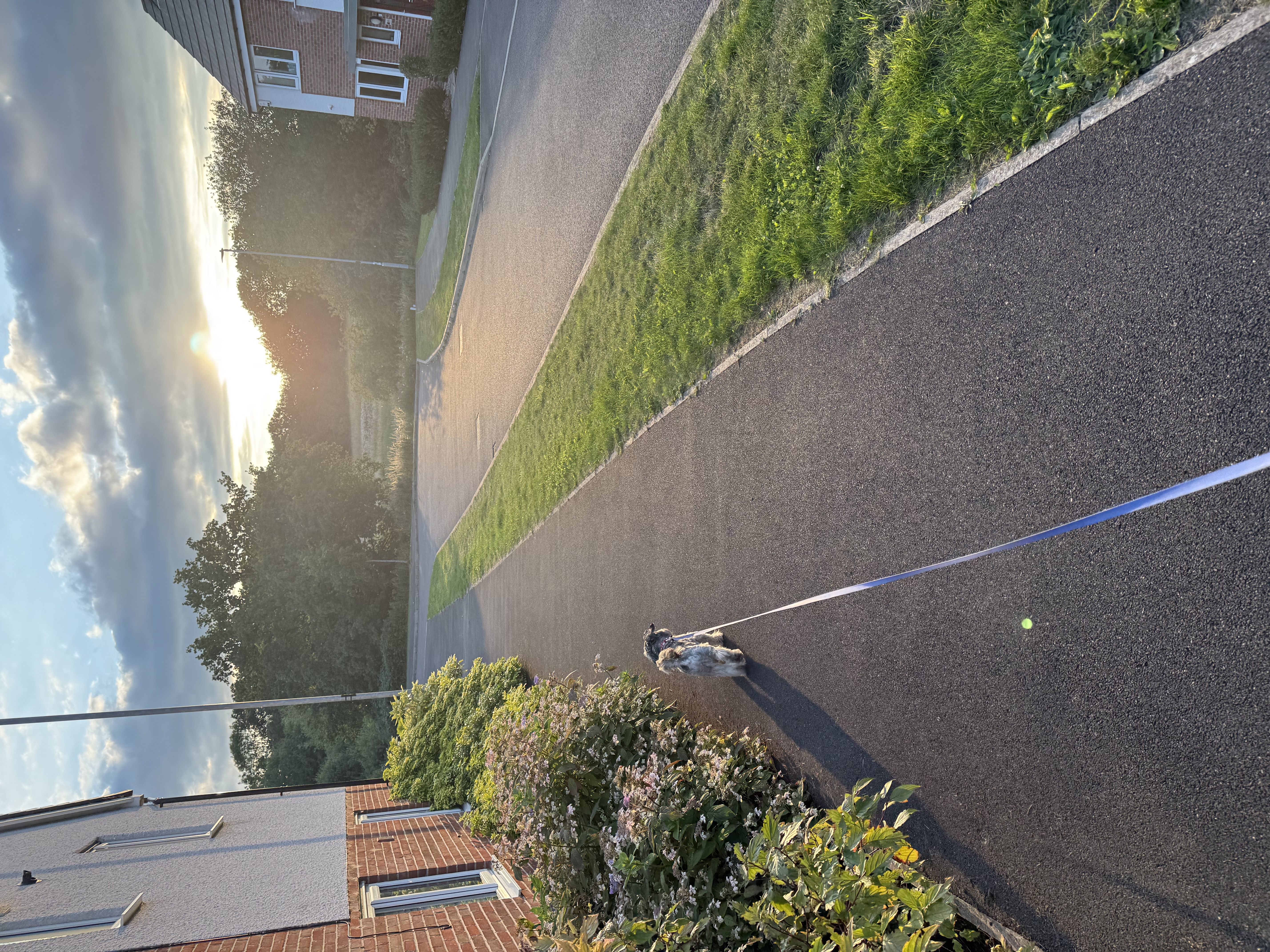 image-14