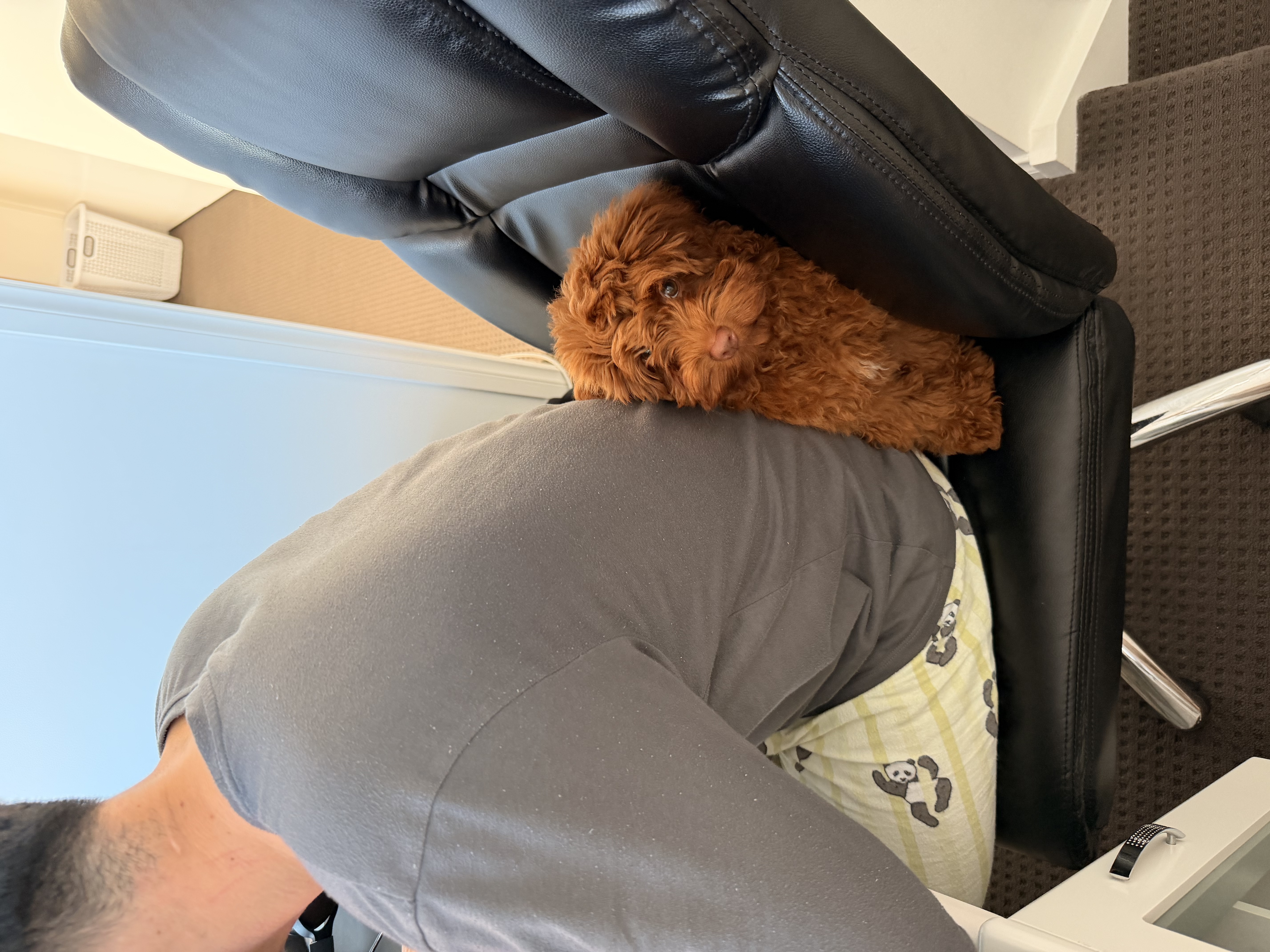 image-7