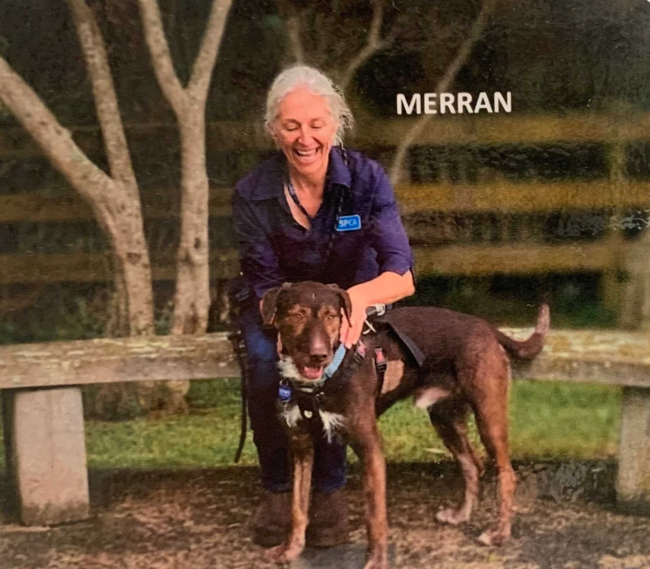 Merran Pet sitter in Auckland - Main Image