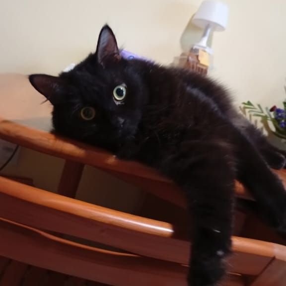 Jerry