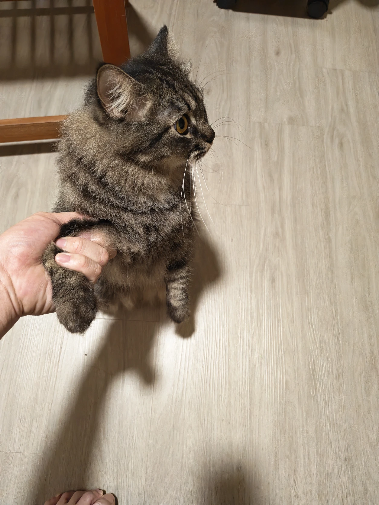 image-9