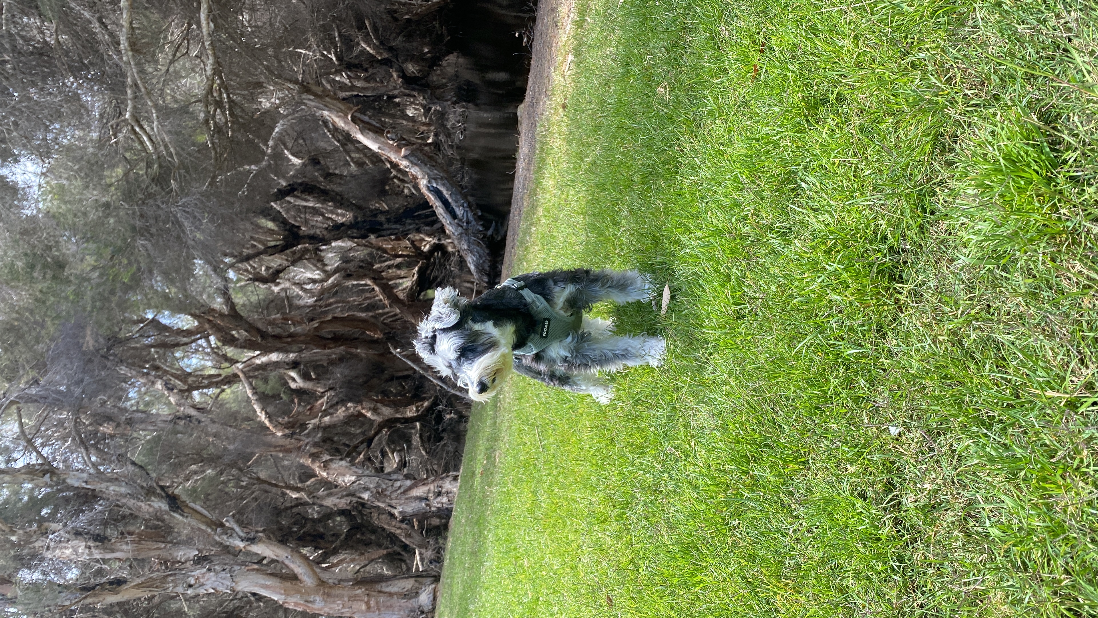 image-11
