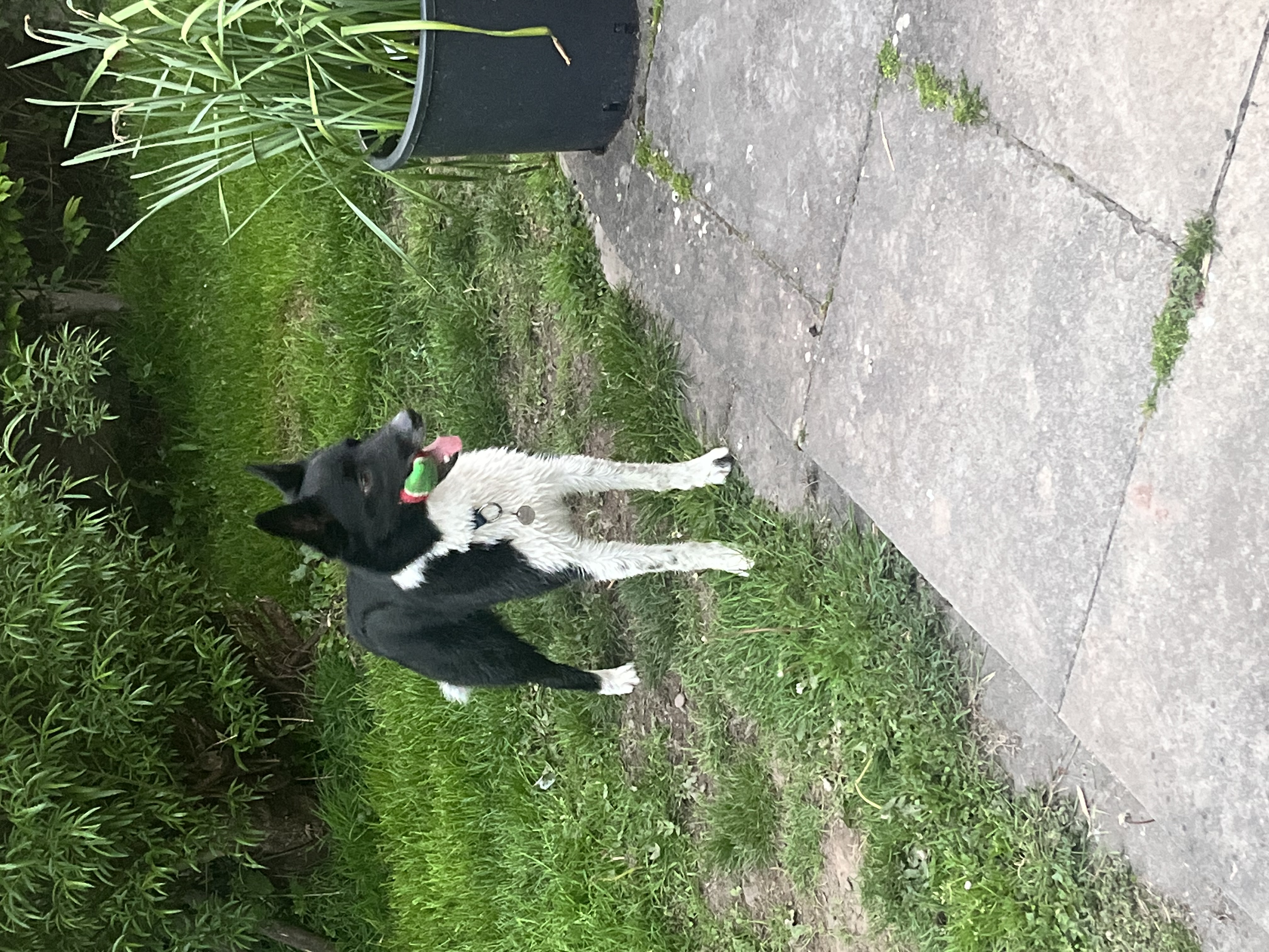 image-7