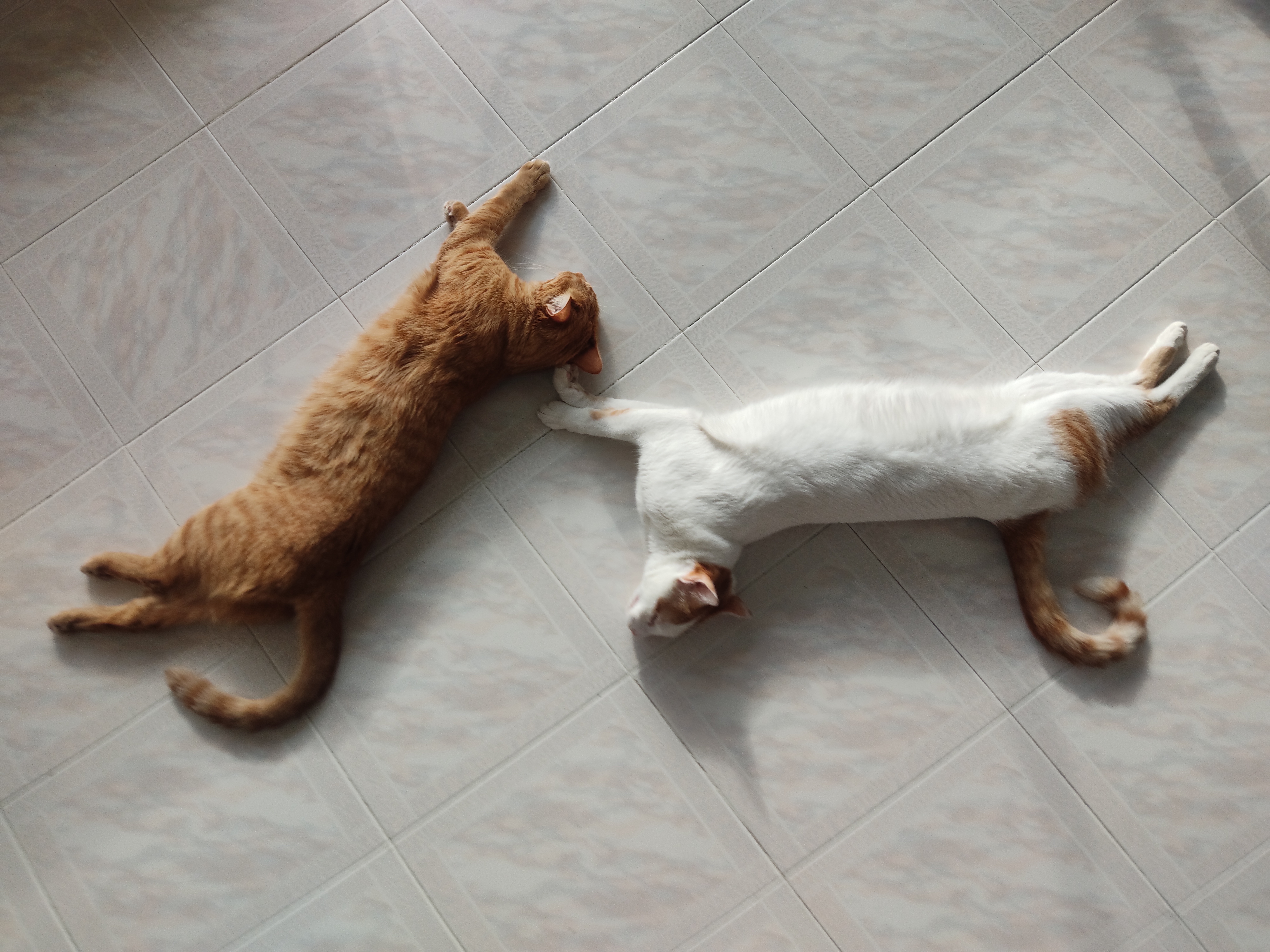 image-28
