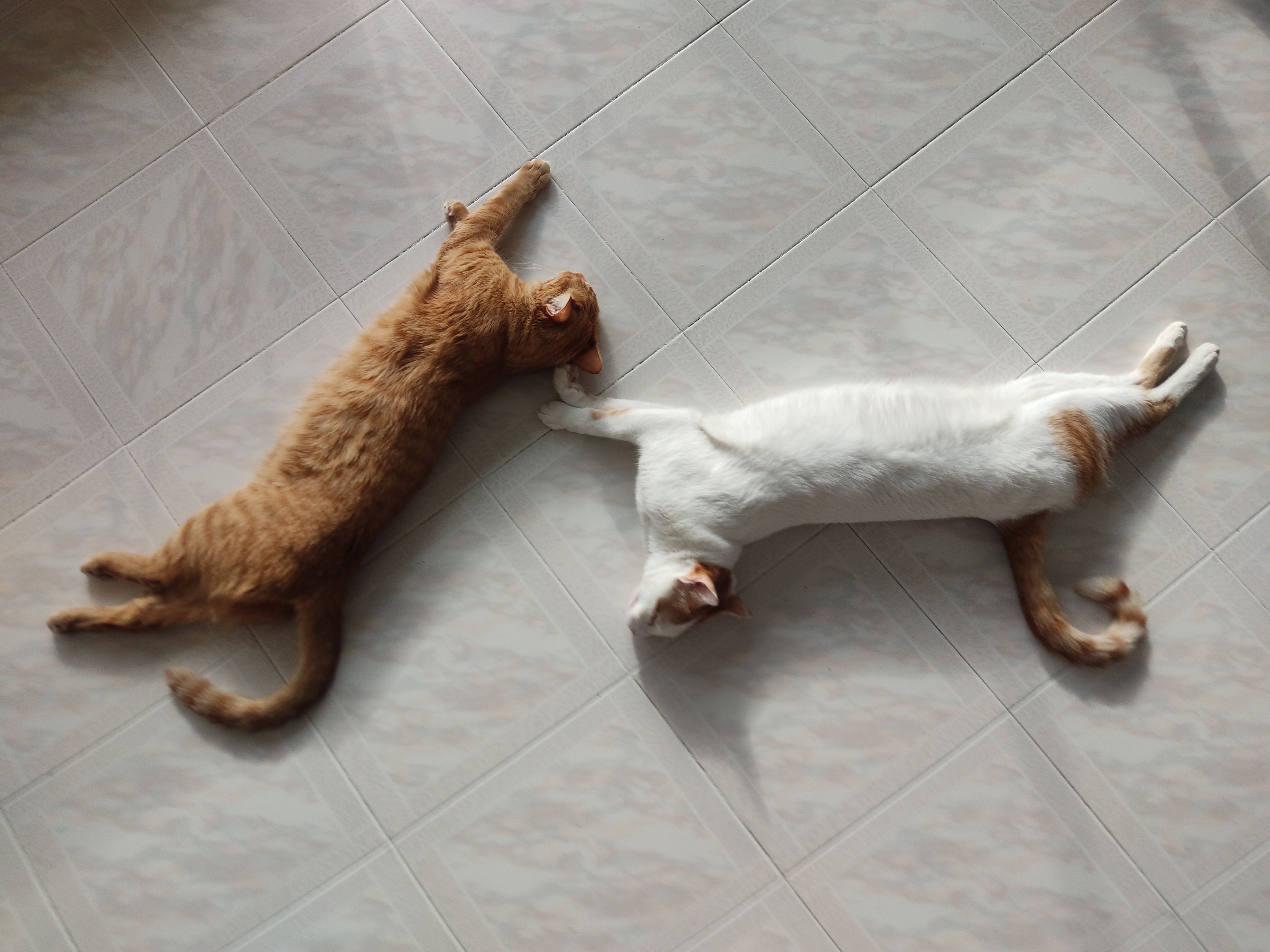 image-28