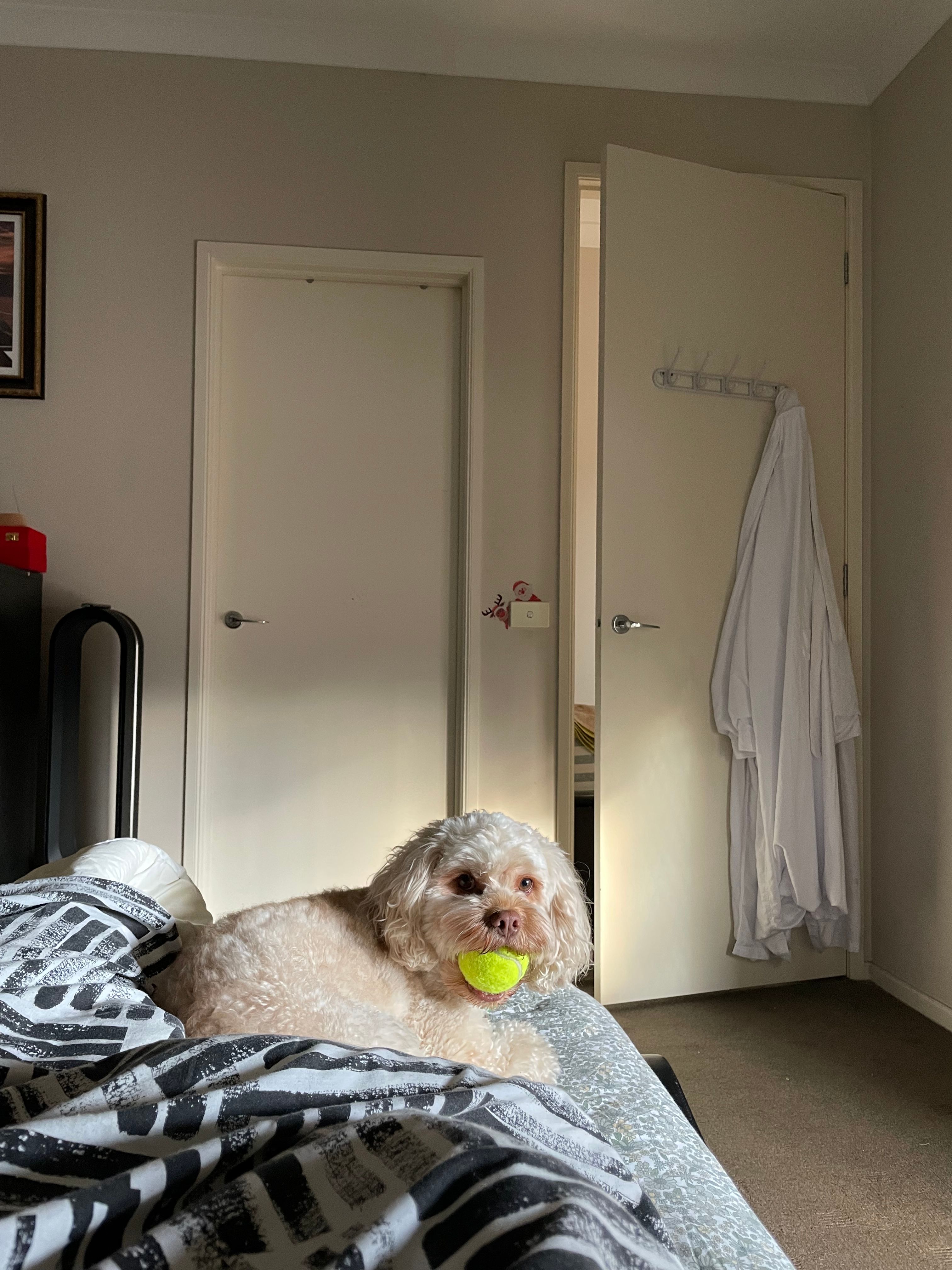 image-10