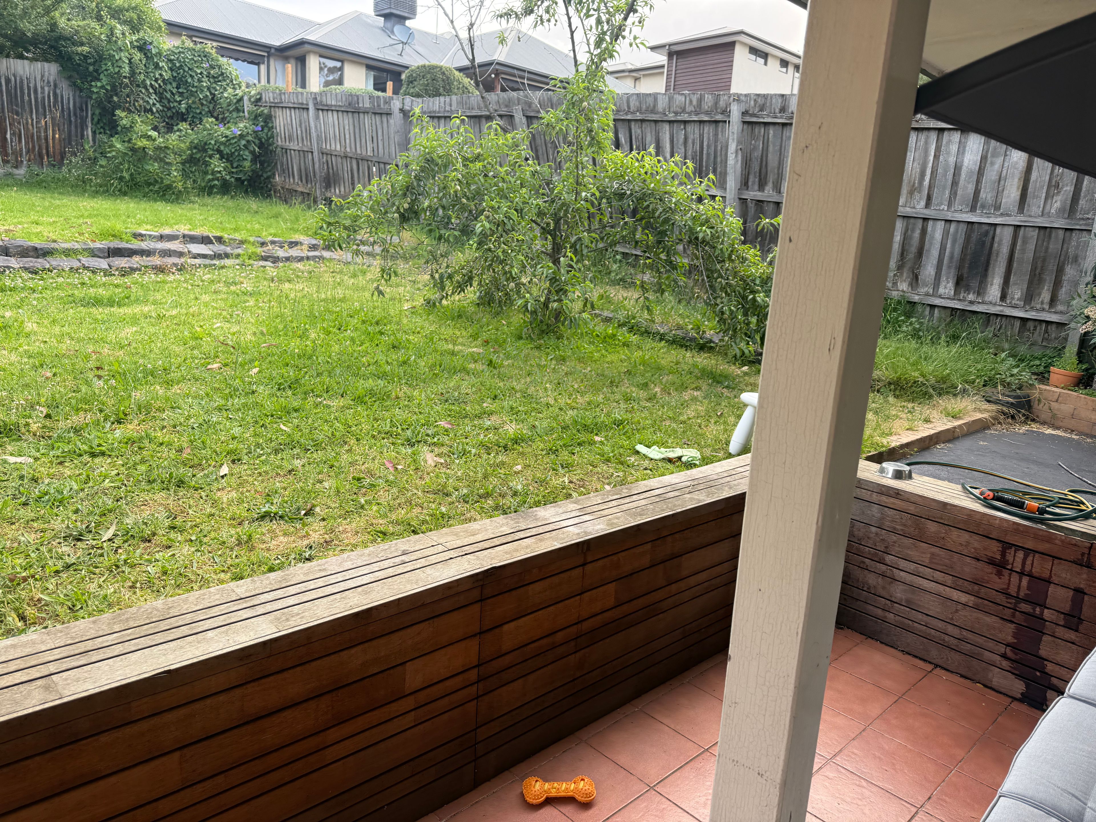 image-19