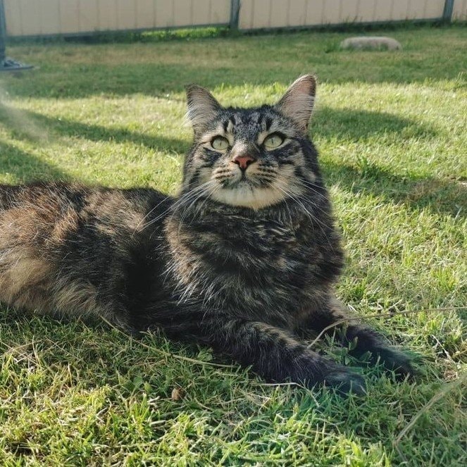 Zuko