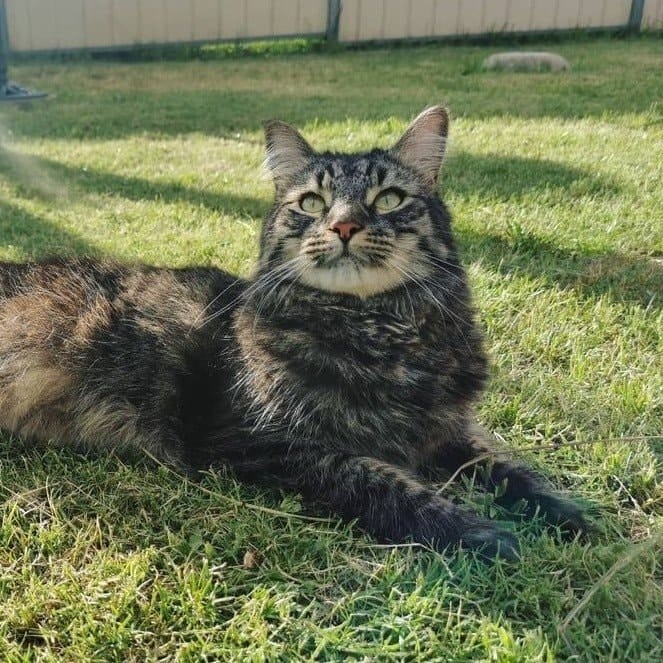 Zuko