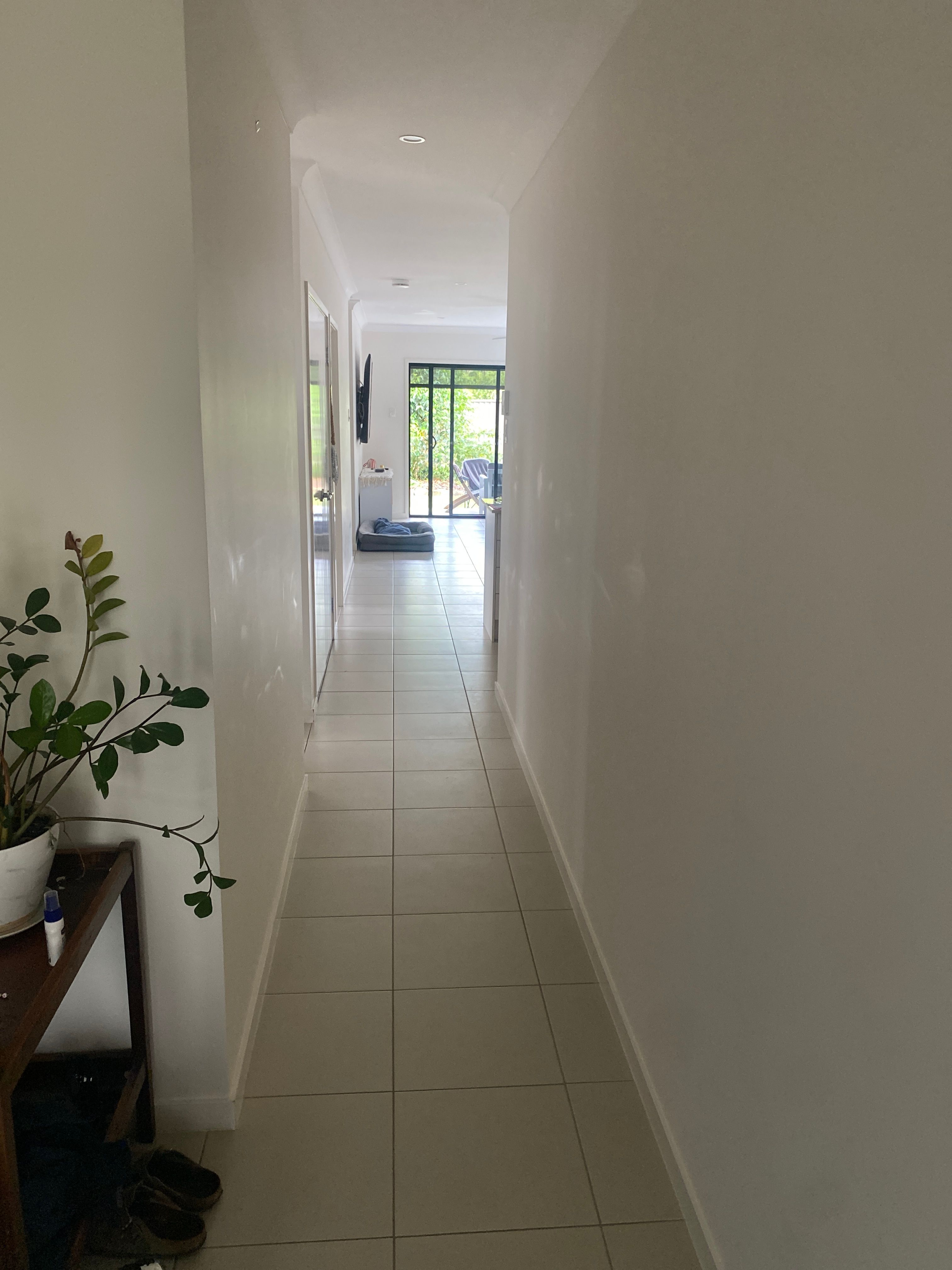 image-19