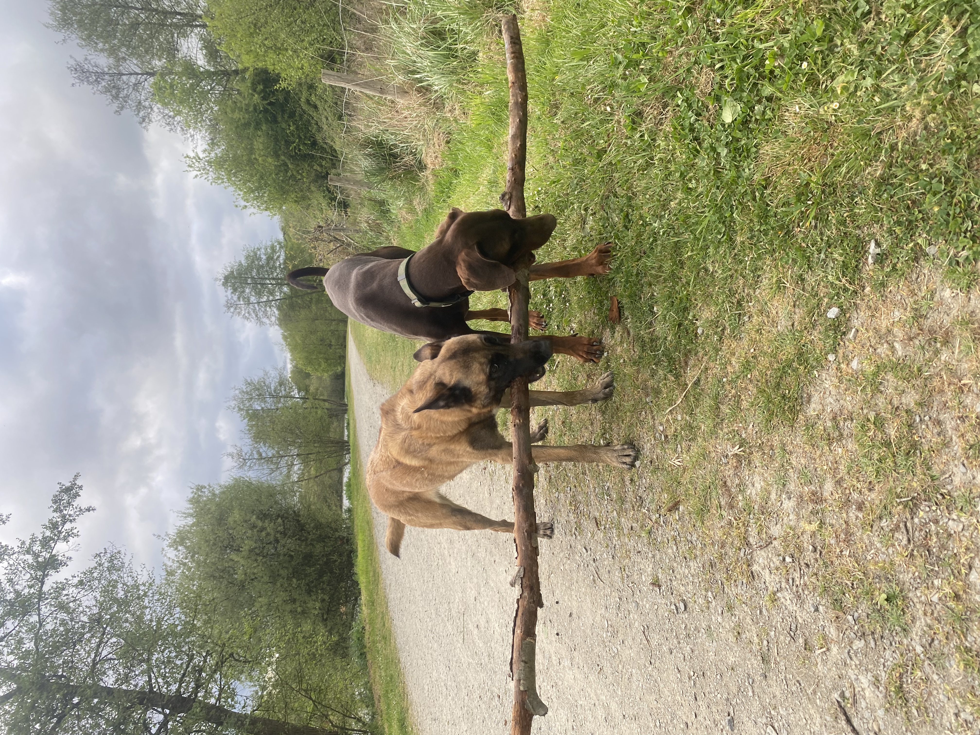 image-3