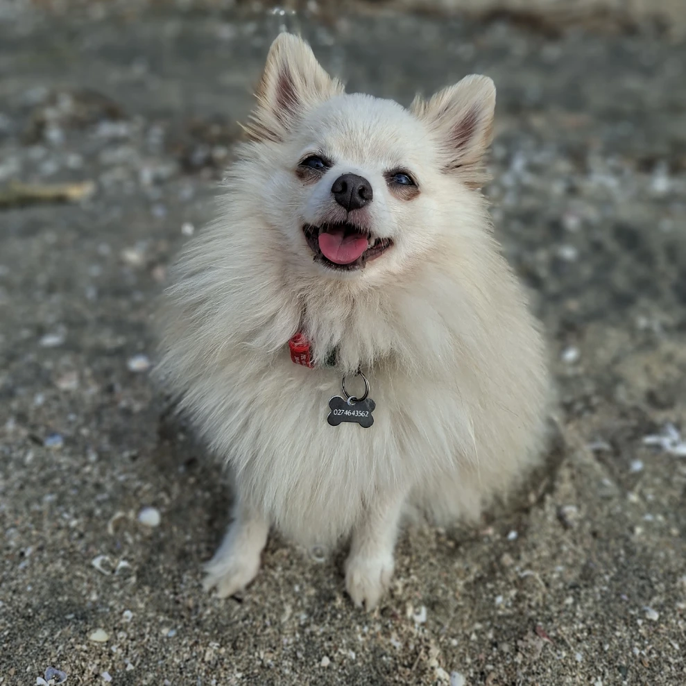 Luna