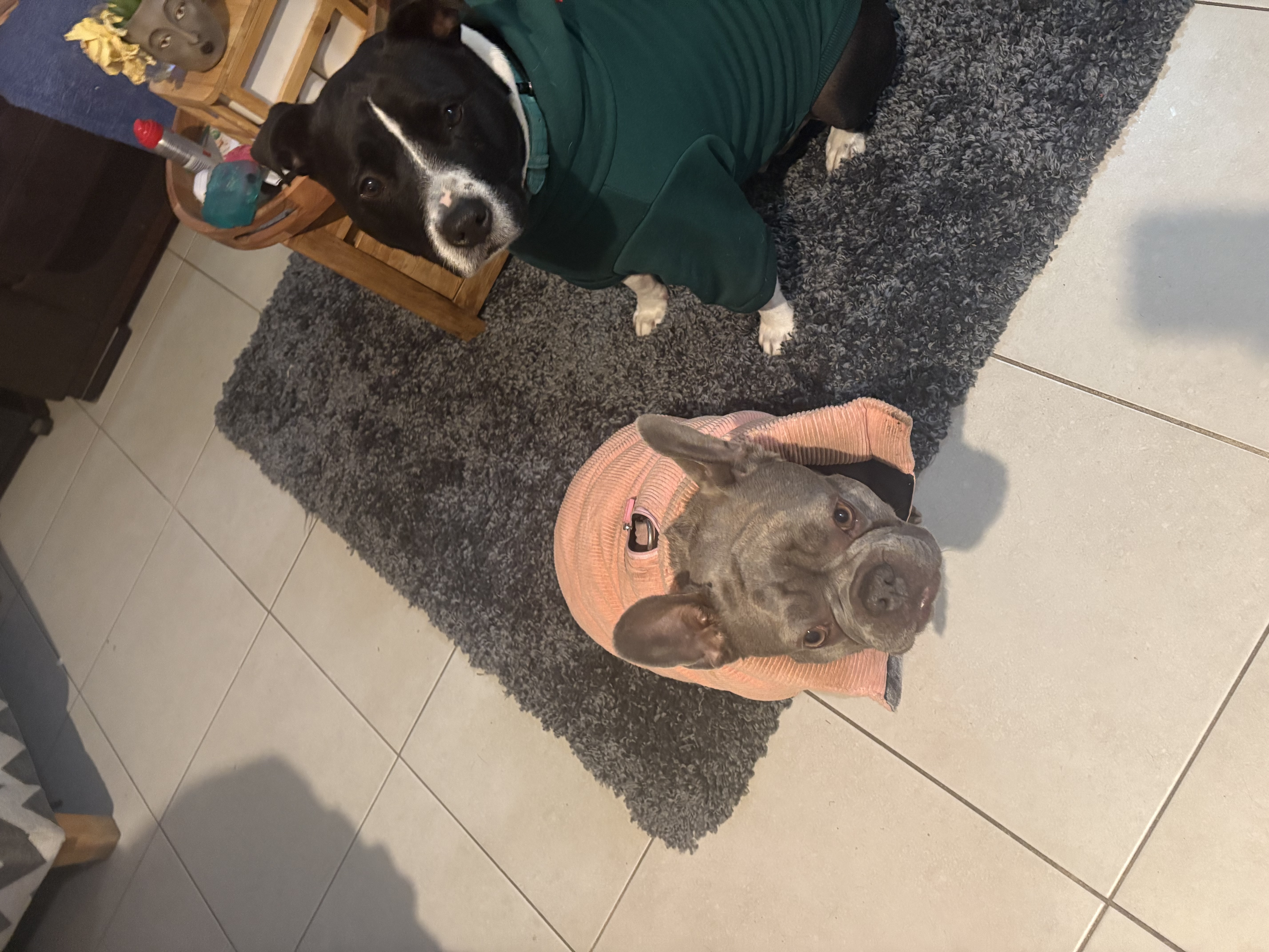 image-6