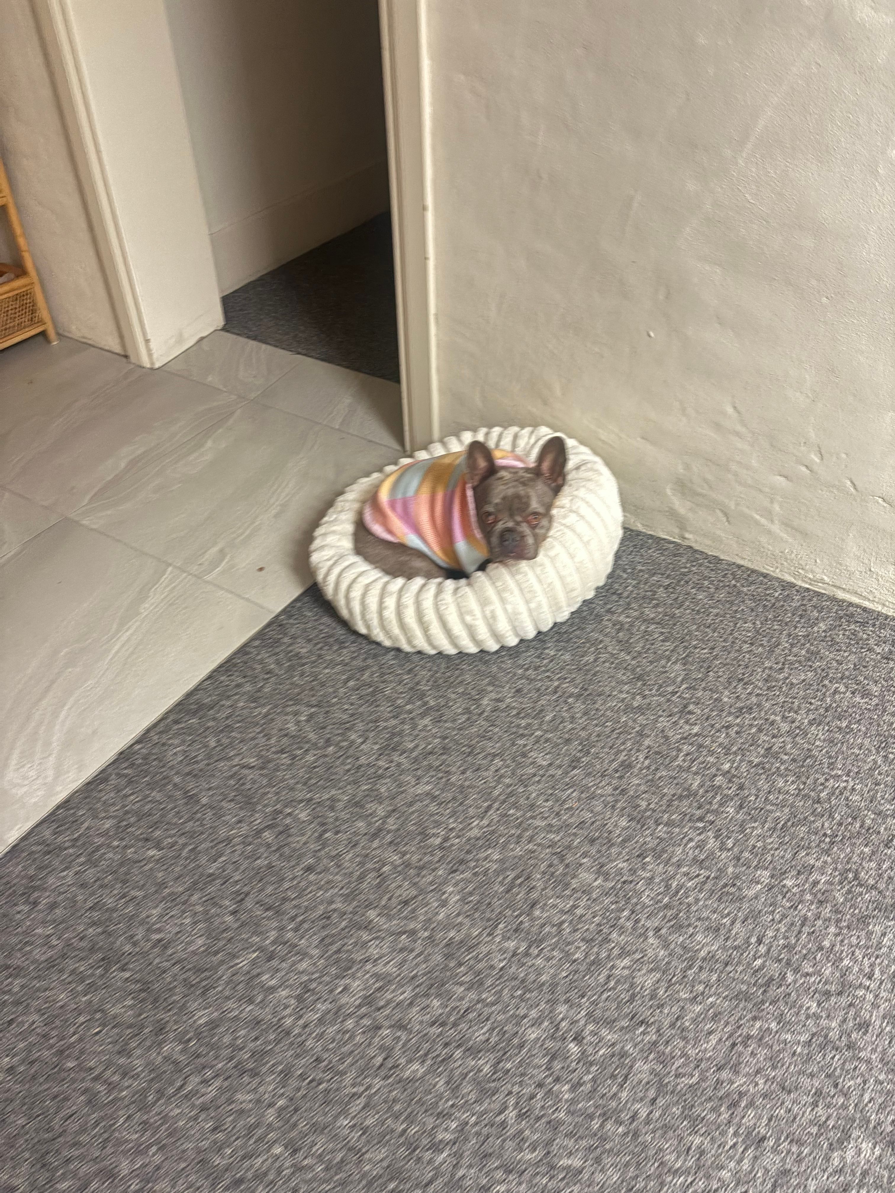 image-16