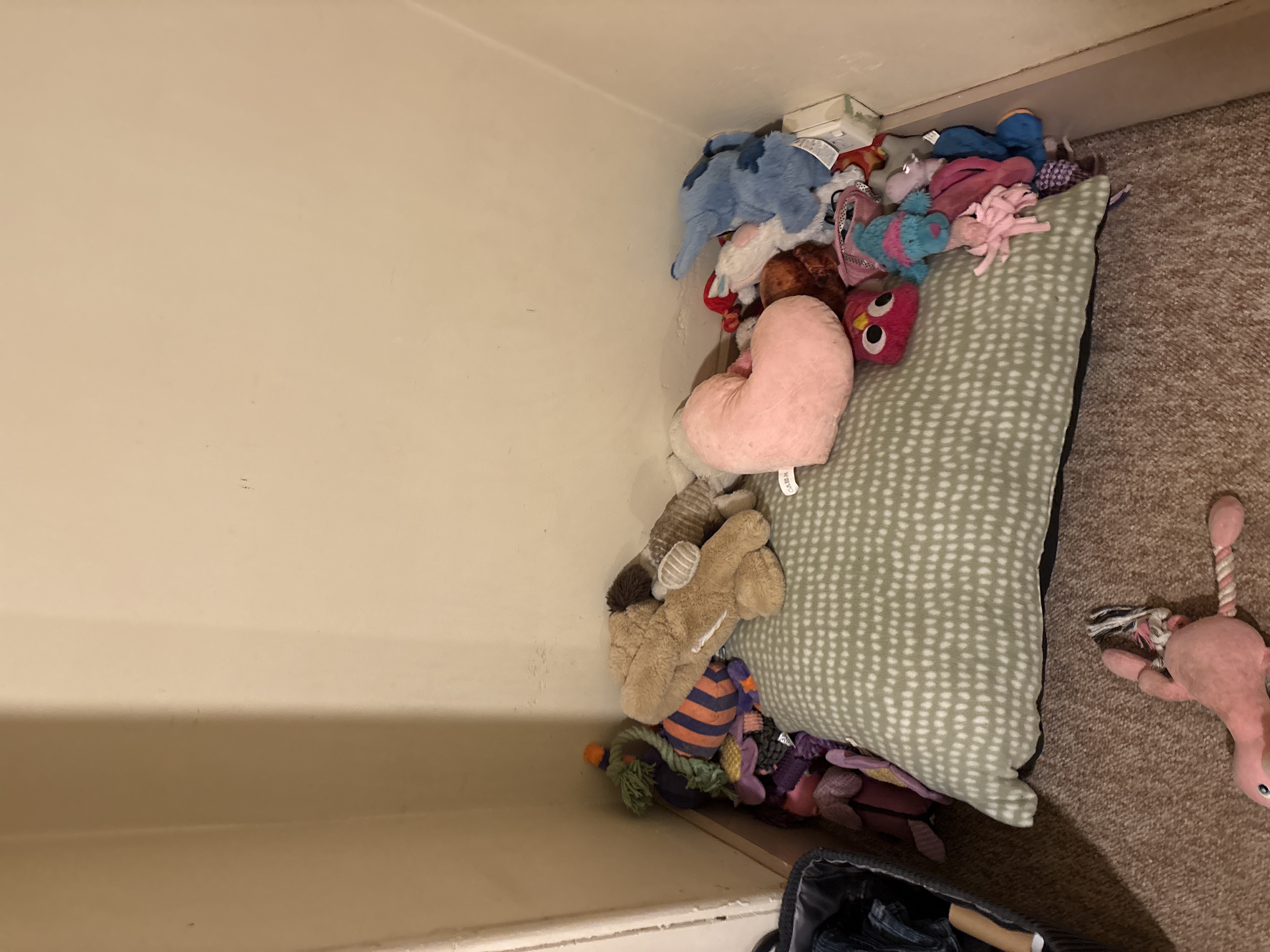 image-10