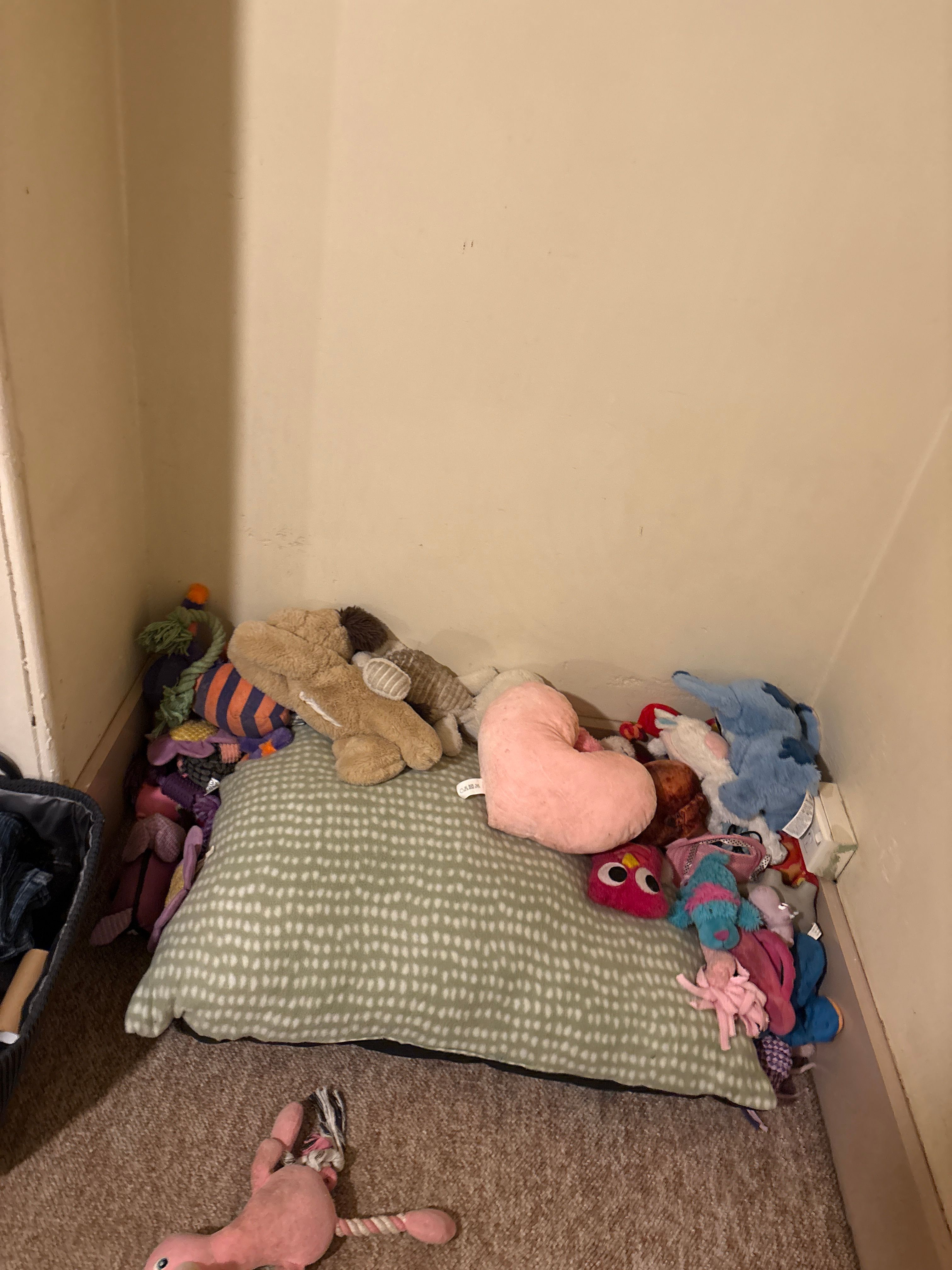 image-10