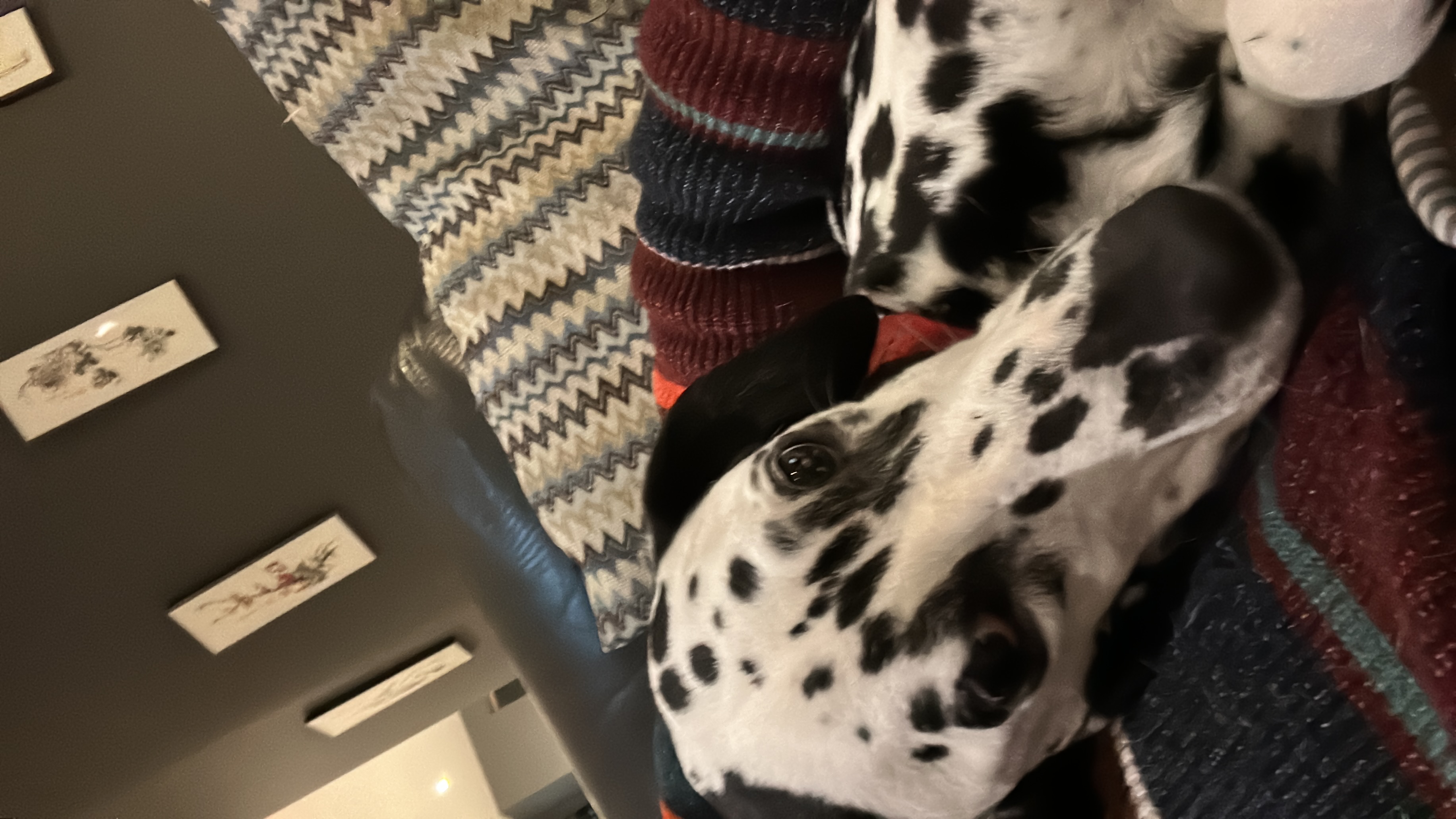 image-3