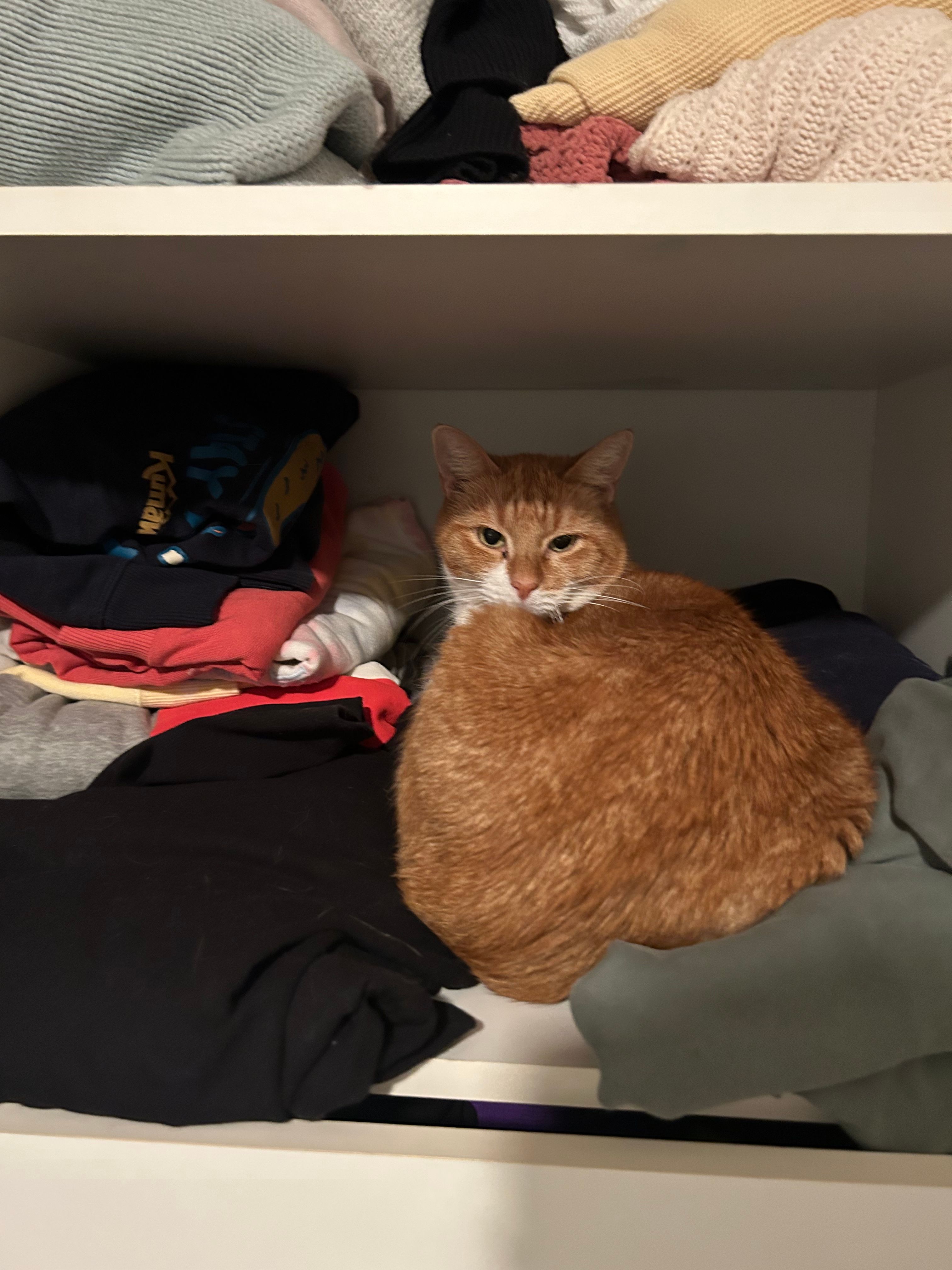 image-8