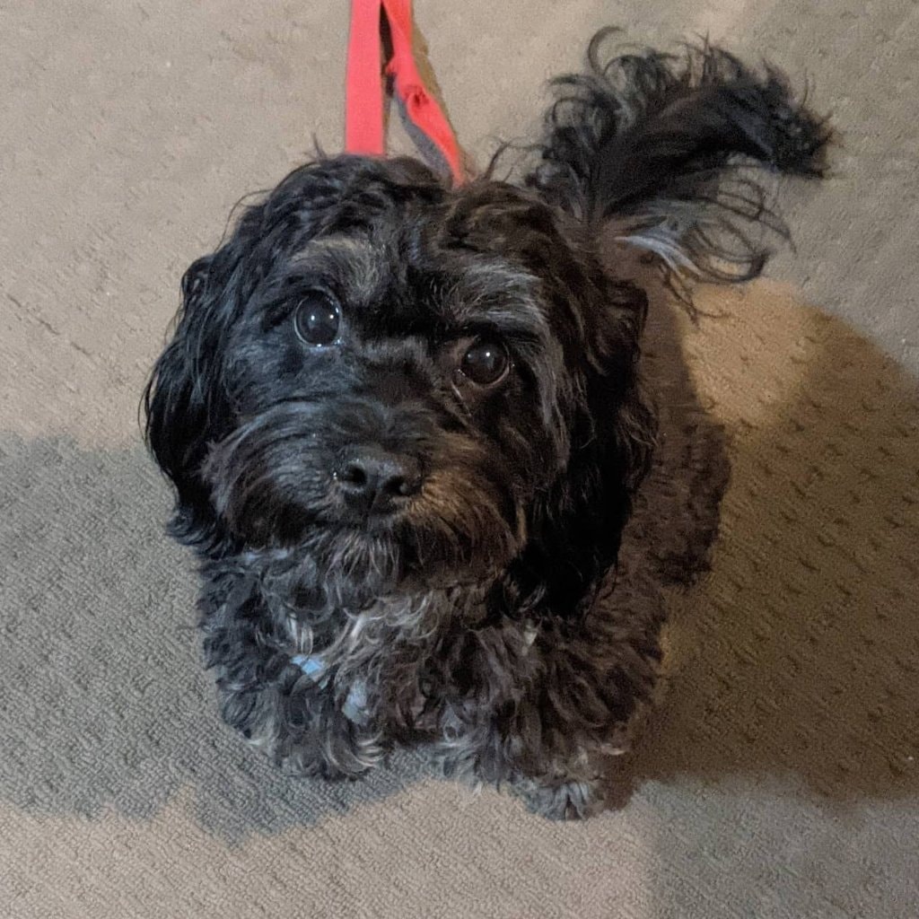 Ellie