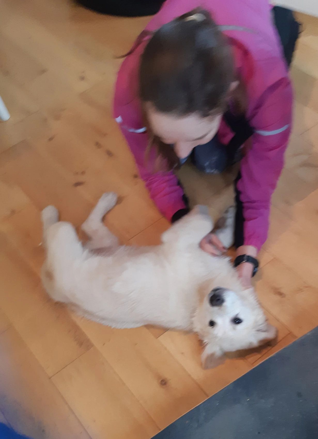image-8