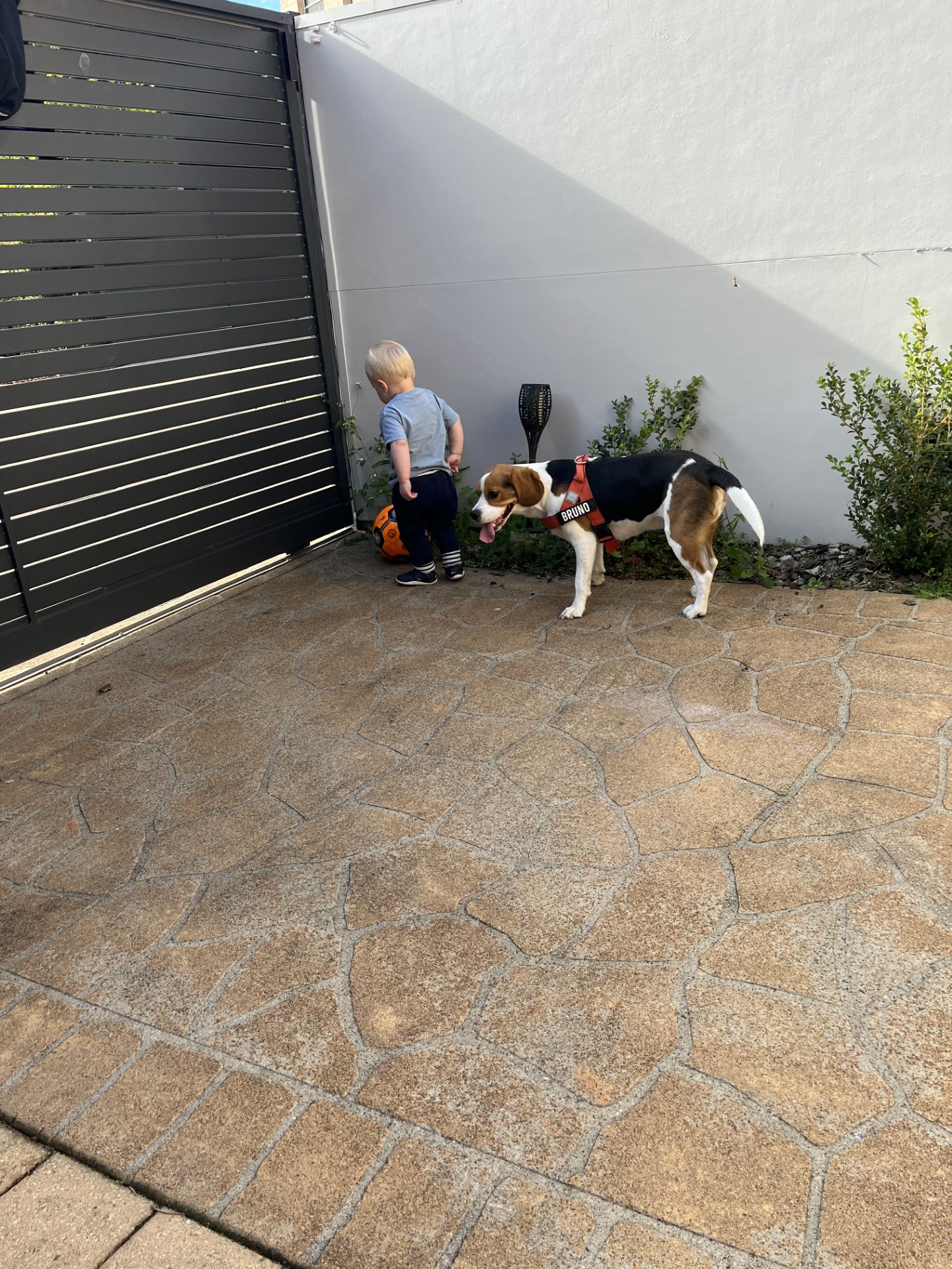 image-16