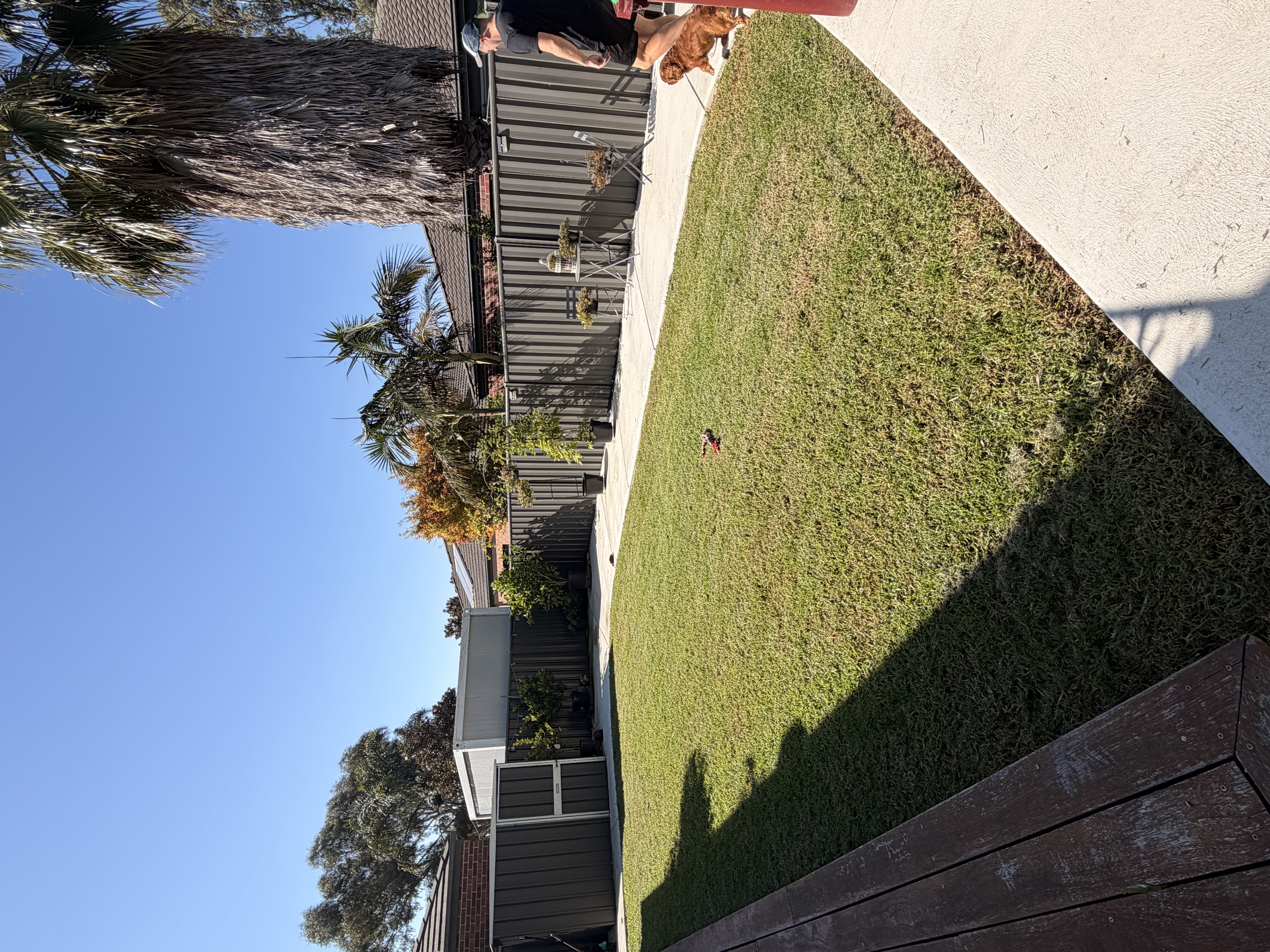 image-14