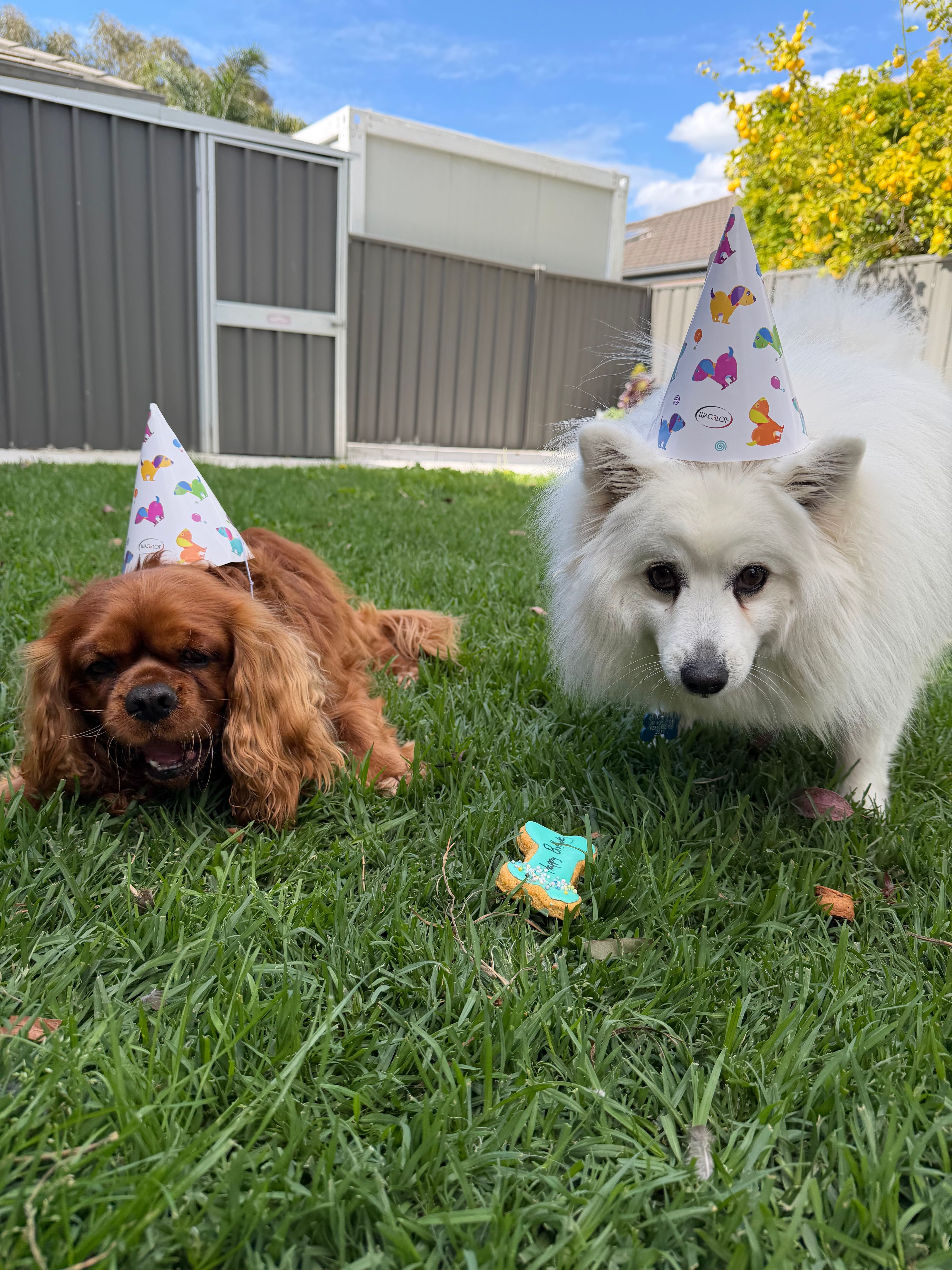 image-3