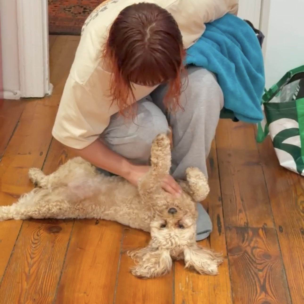 image-6