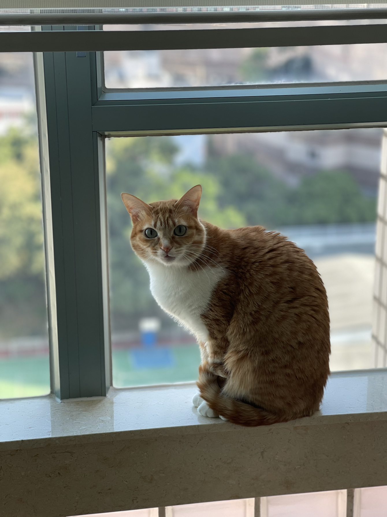 image-8