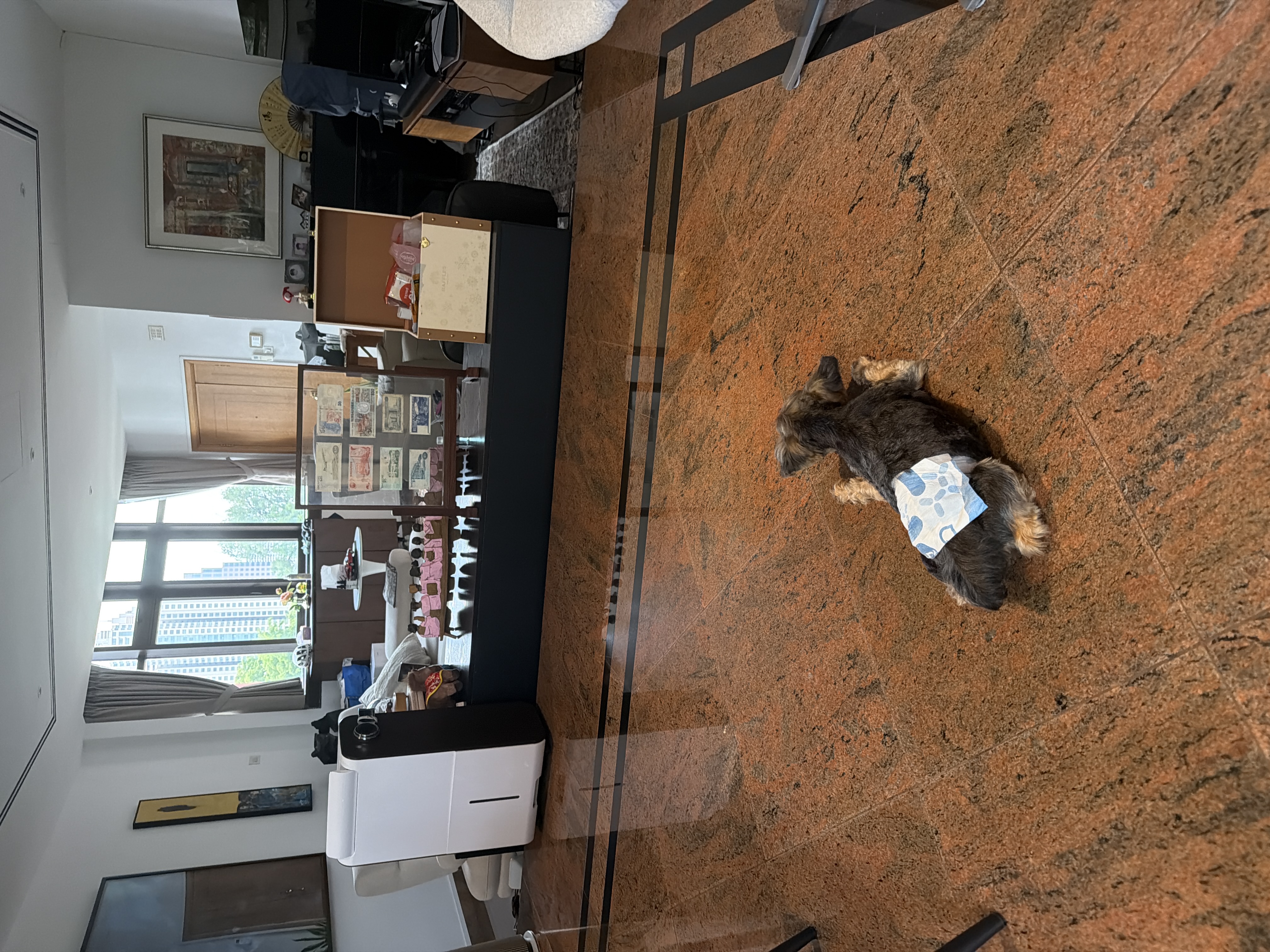 image-16