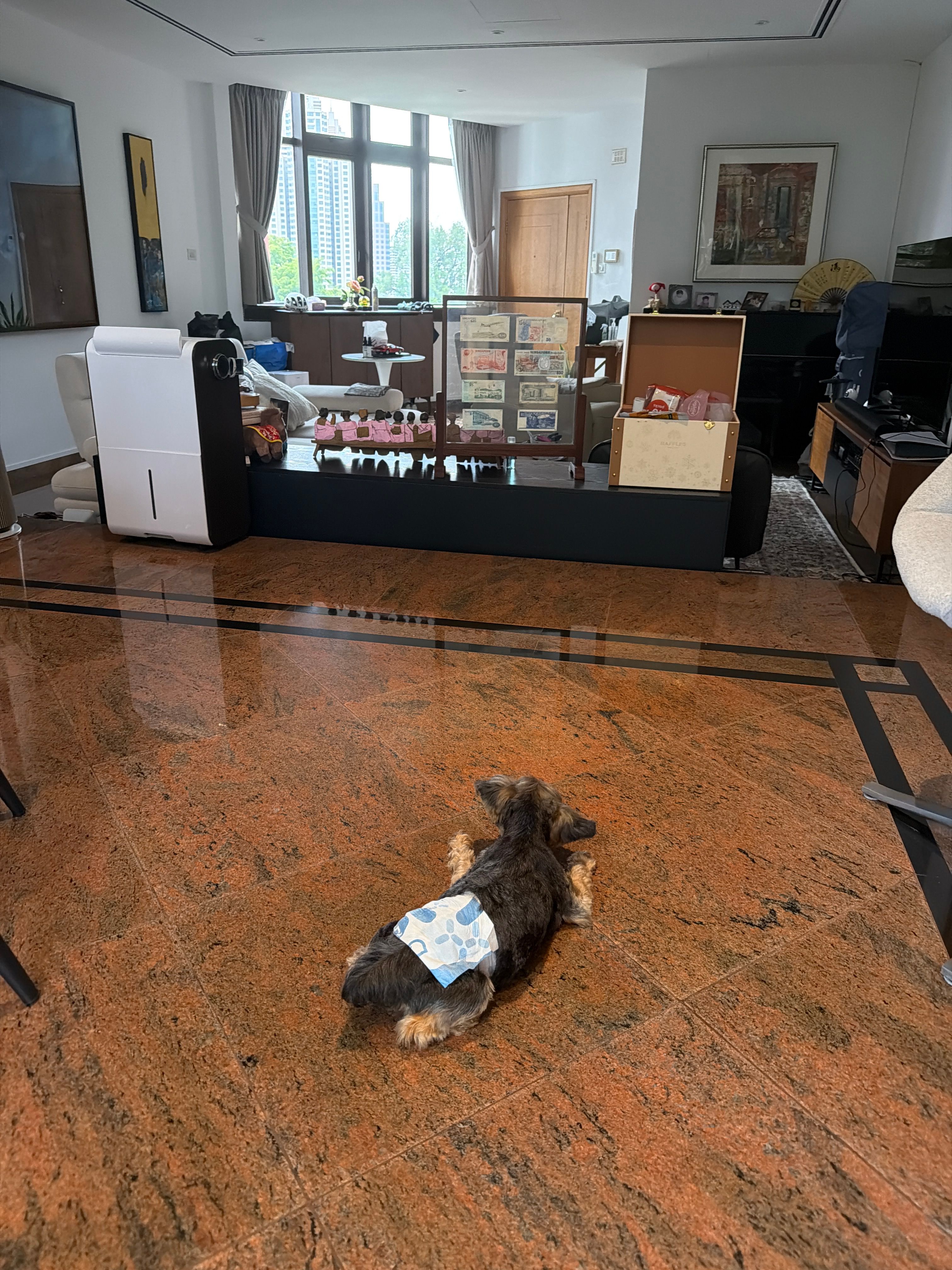 image-16