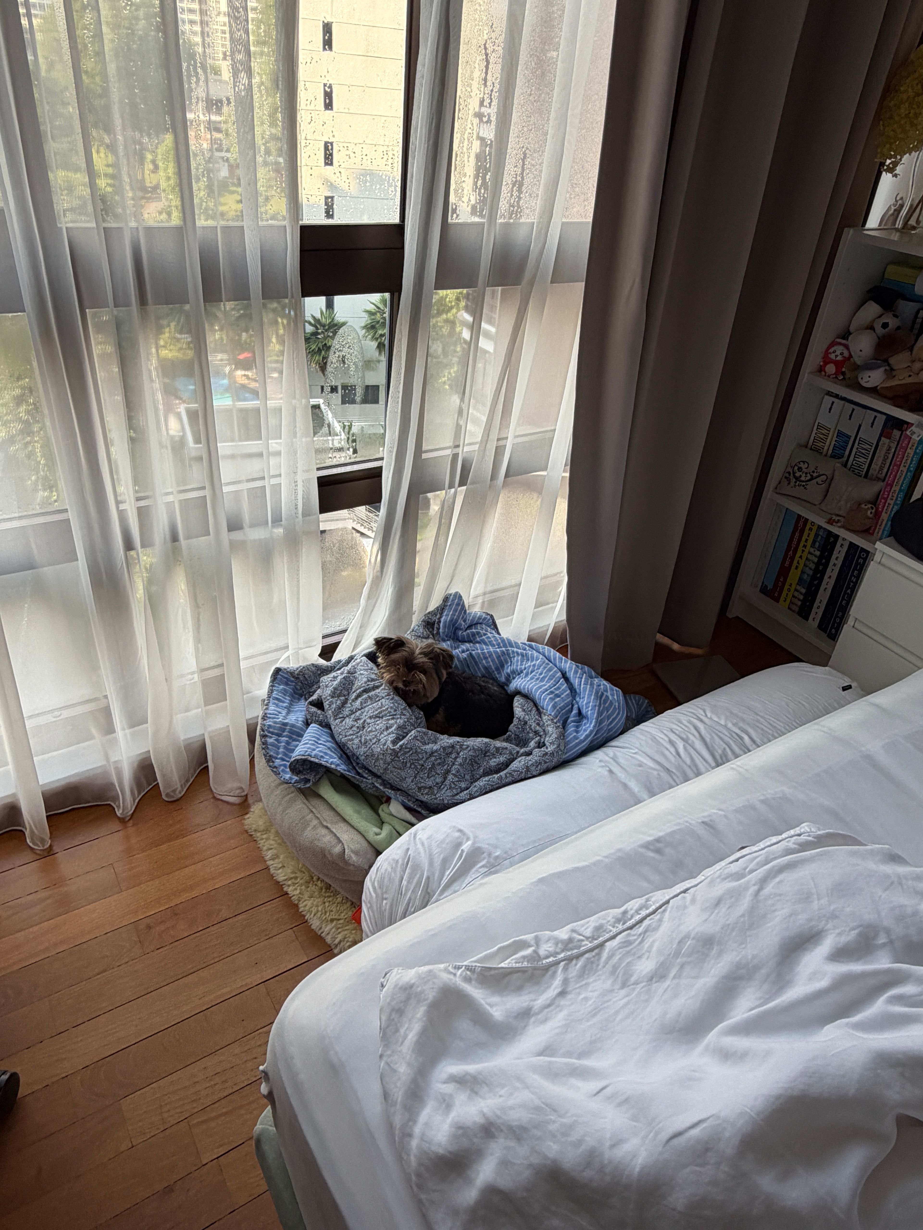 image-11