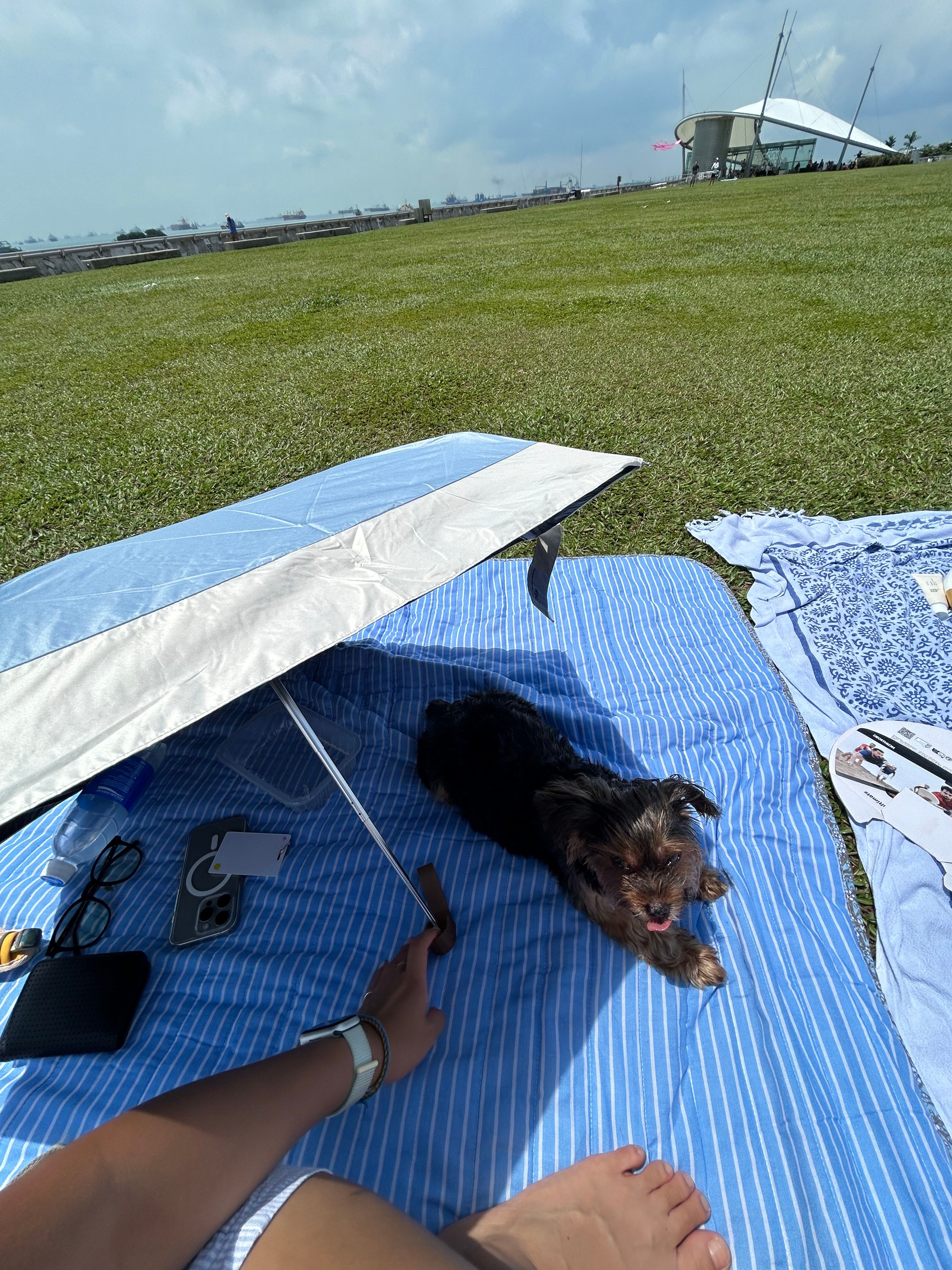 image-9