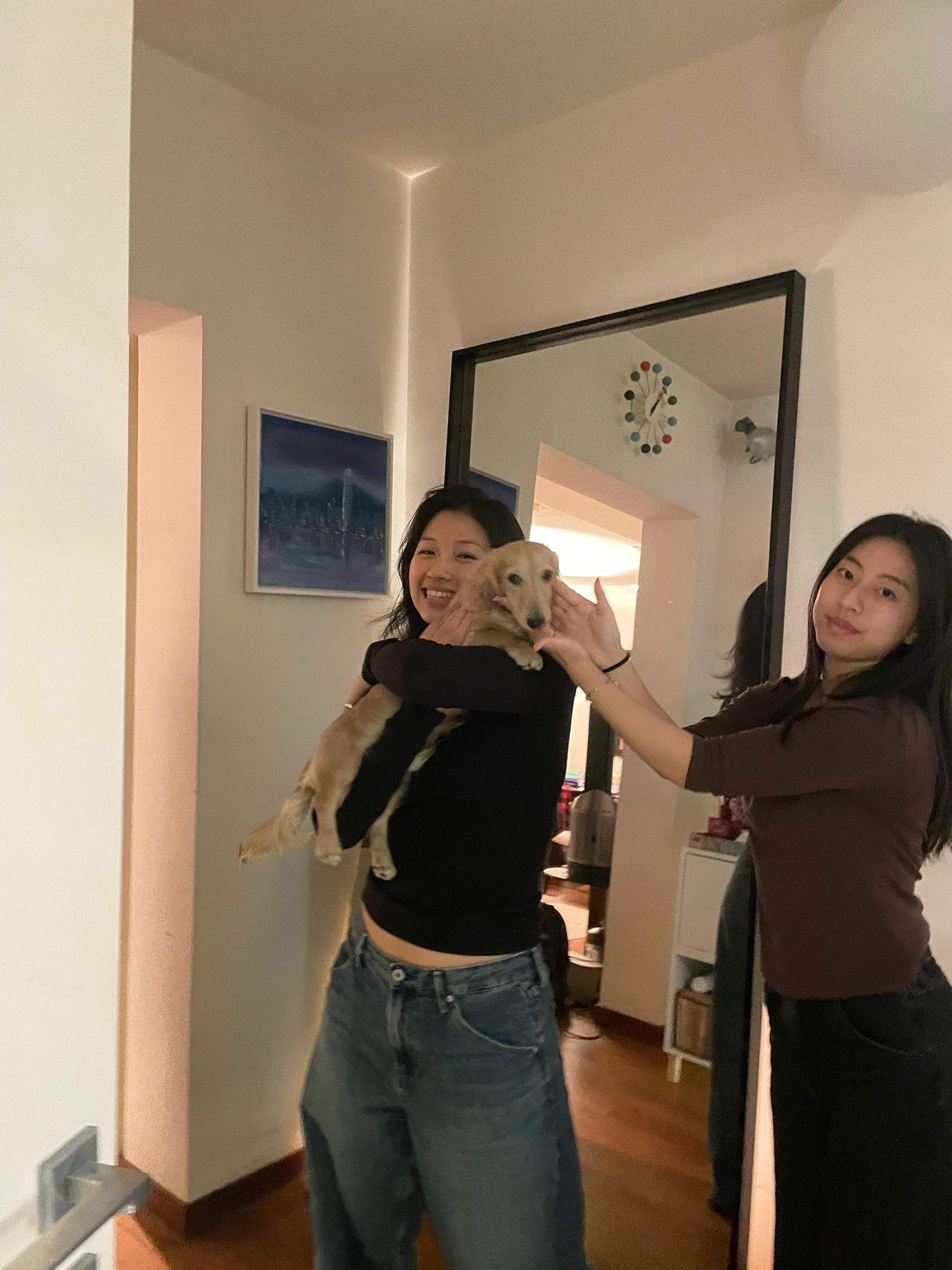 image-8