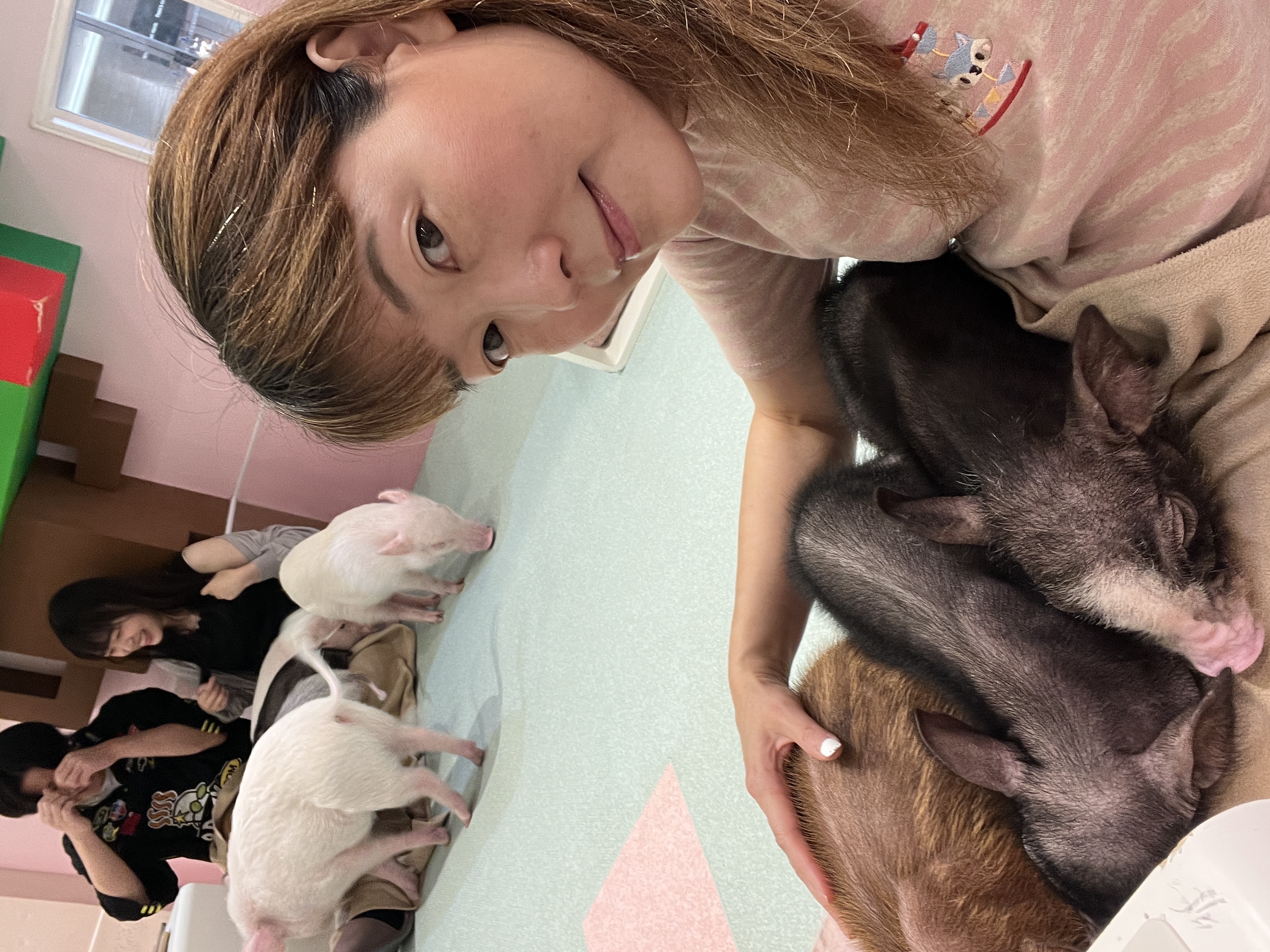image-11