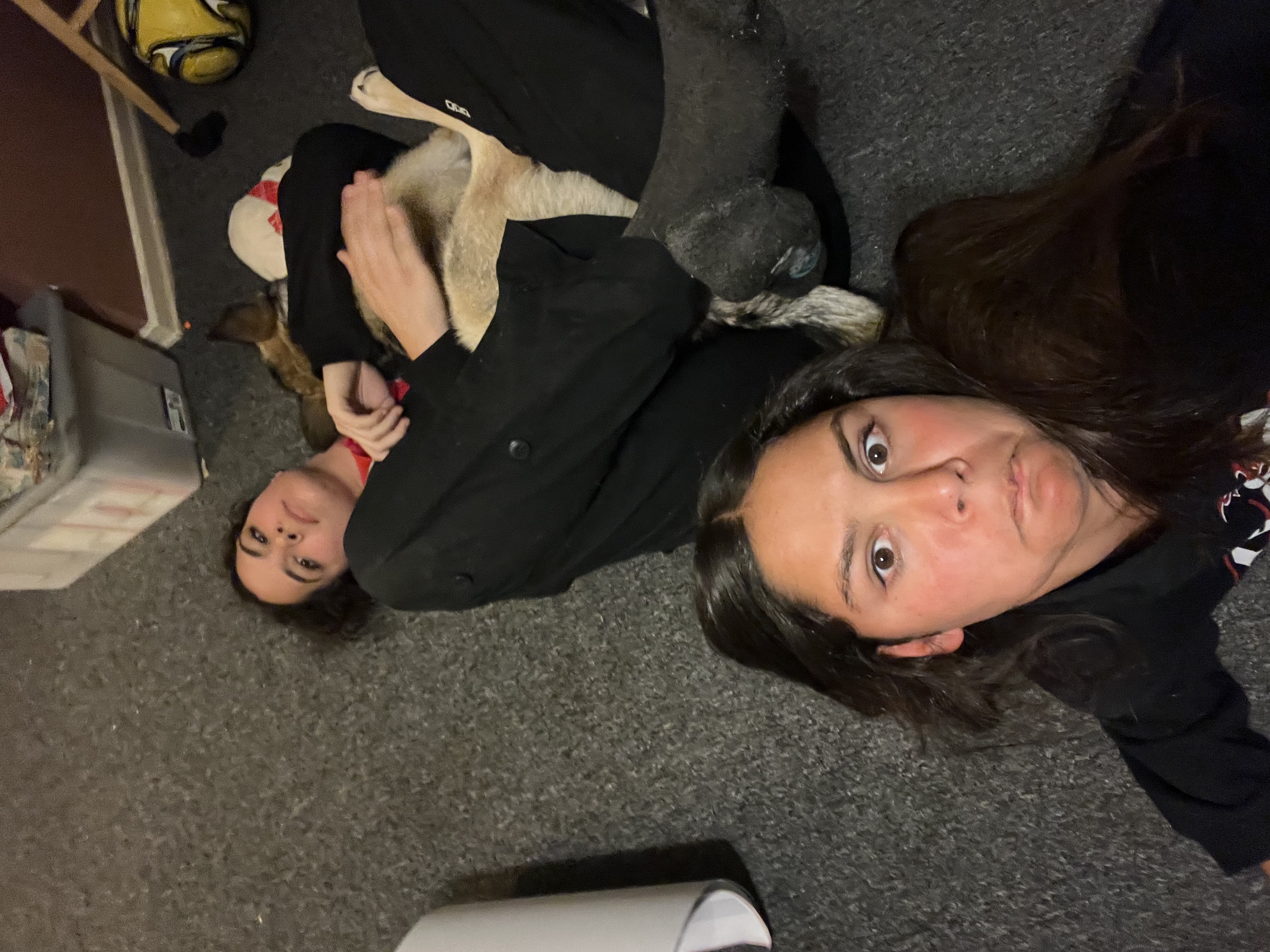 image-6